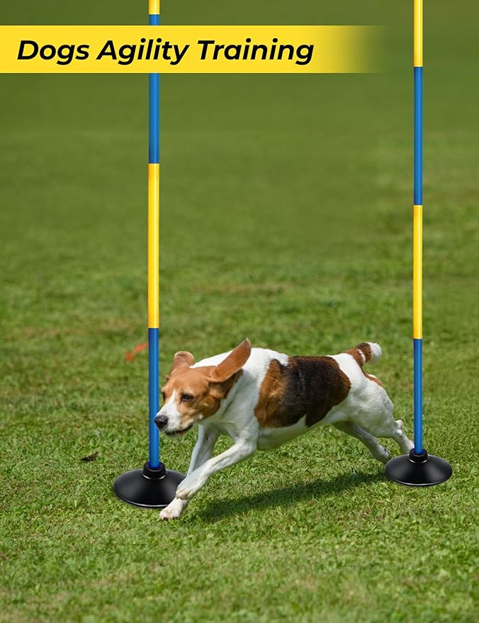 SEAOTTER Soccer Agility Poles with Rubber Base, 10 Pcs Detachable Sports Speed Agility Training Equipment, Agility Sticks for Football, Rugby, Basketball, Slalom, Indoor & Outdoor
