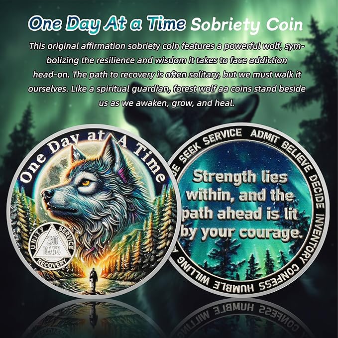 One Day at a Time 30 Day Sobriety Coin - Recovery Aurora Forest Wolf AA Coins - Addiction NA AA Chips and Medallions - Celebrate 1-30 Living Clean Sober Alcoholics Anonymous Gifts for Men Women