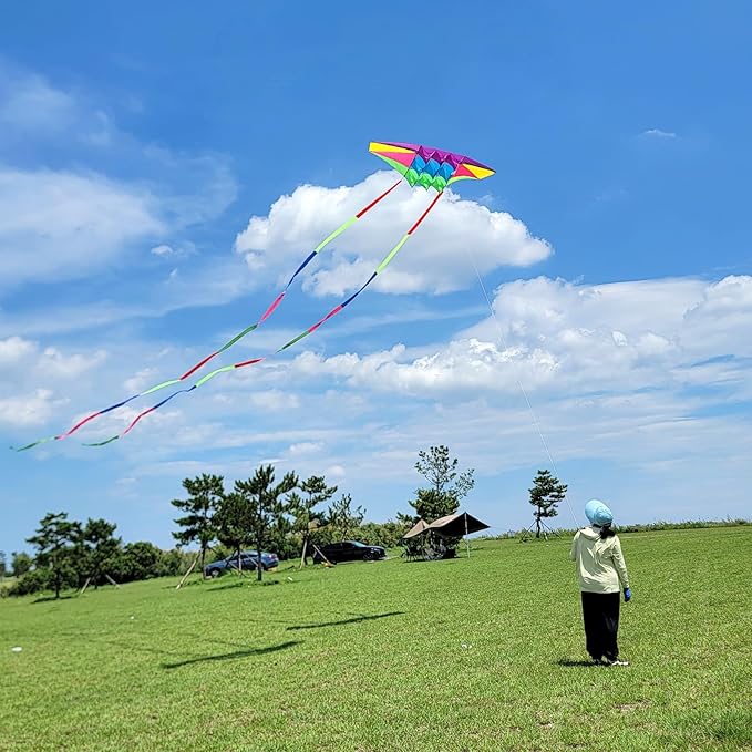 Beach Kites for Adults Large with Long Tail, 98 inches Super Easy Flyer 3D Rainbow Box Kites, Comes with Two 49 Feet Multi Colors Tails, 300 ft Kite String & Handle