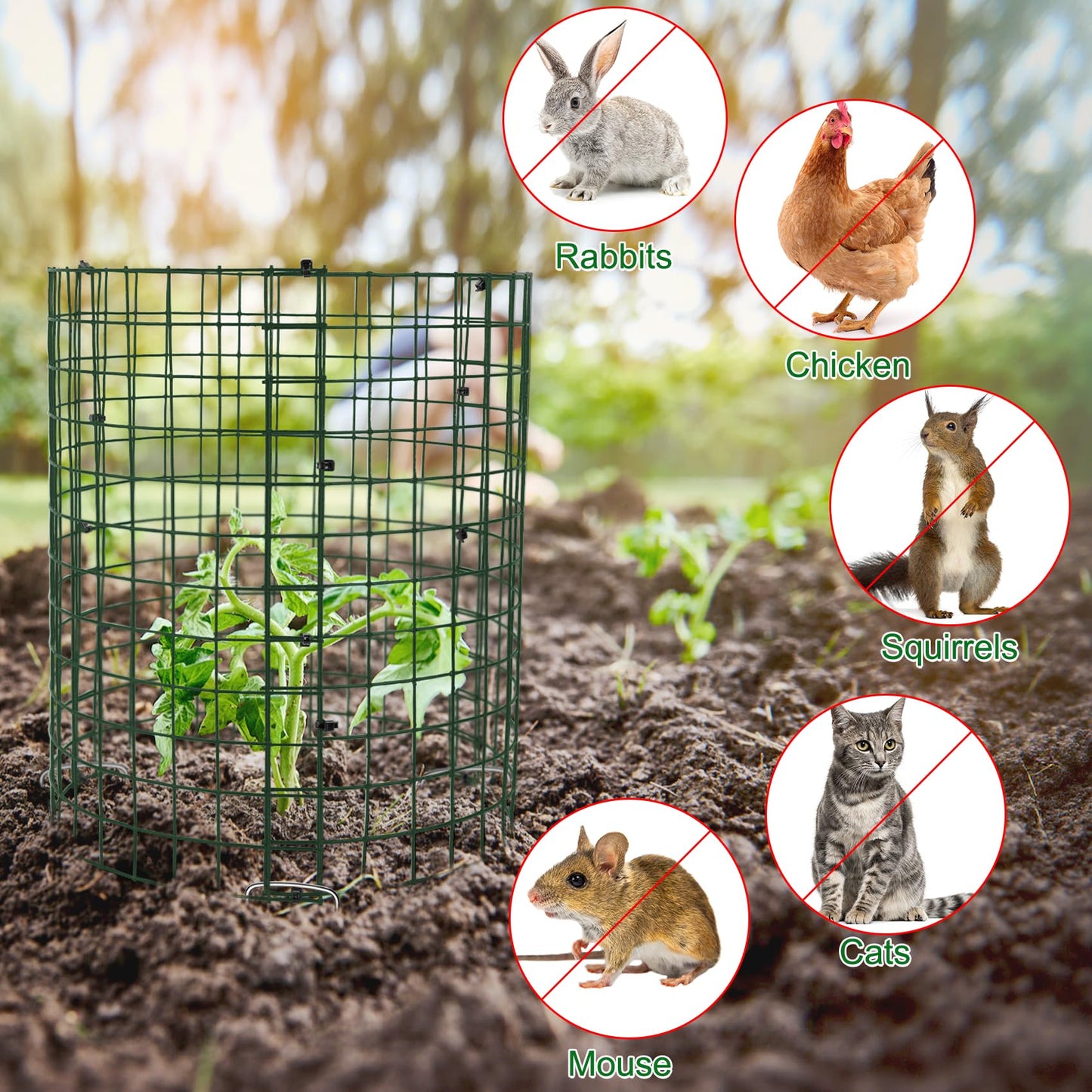 Unves 10 Set Plant Protectors from Animals, 12 x 12 Inch Wire Plant Cages for Outdoor Plants-Covers Protect Vegetables Flowers from Animals, Prevent Rabbit & Chicken Entering