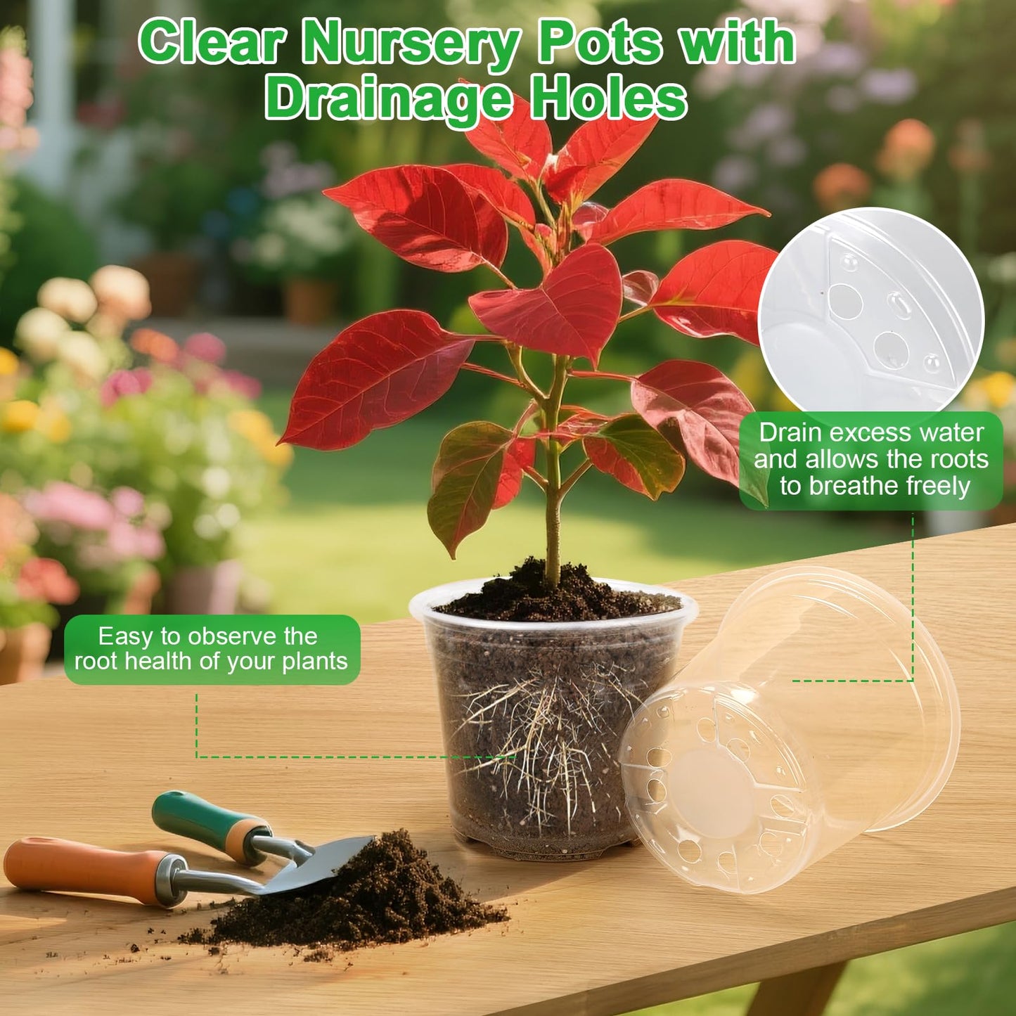 HQAUT 10/8/6/5 Inch Large Clear Nursery Pots with Drainage Holes, 16 Pack Gallon Clear Plastic Pots for Plants, Seedling Starter Pot, Garden Plant Pots for Succulents Flowers
