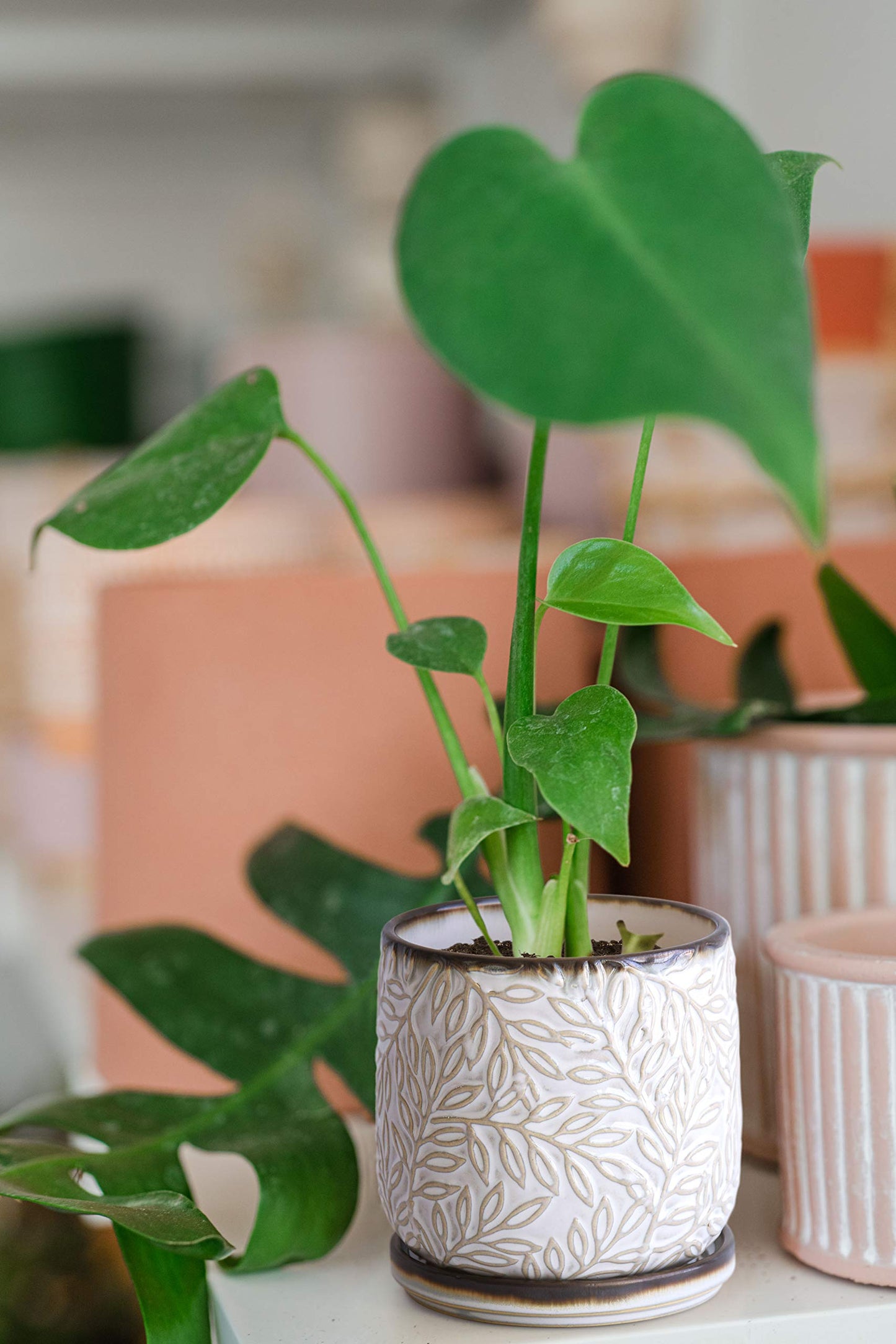 D'vine Dev 4 Inch Embossed Leaves Stoneware Planter Pot with Drainage Hole and Saucer, Smoked White, Set of 1, 27-A-Z-1