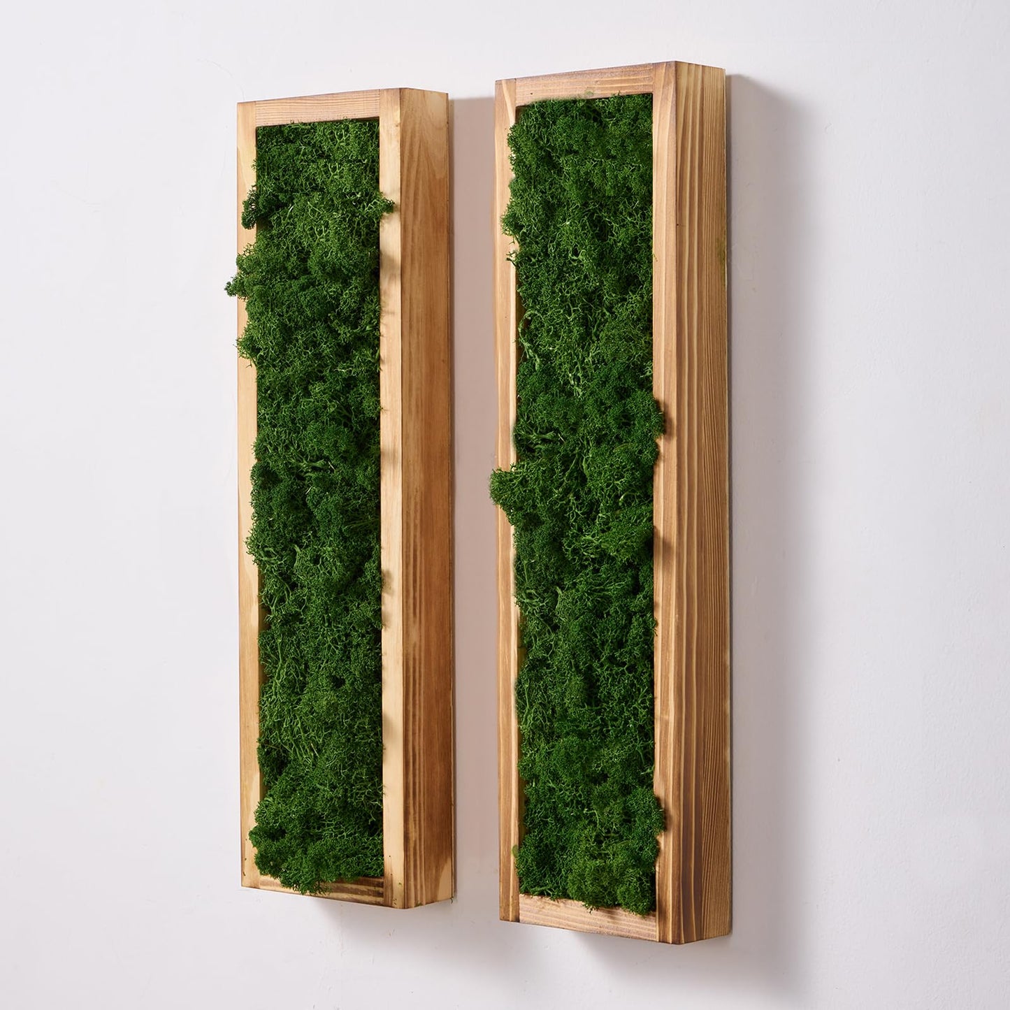 Mokof 2 Pack Moss Wall Art - Preserved Moss in Wood Frame - 17.3" Natural Green Wall Decor for Living Room, Bedroom, Bathroom, Entryways, Home Office (Forest Green)
