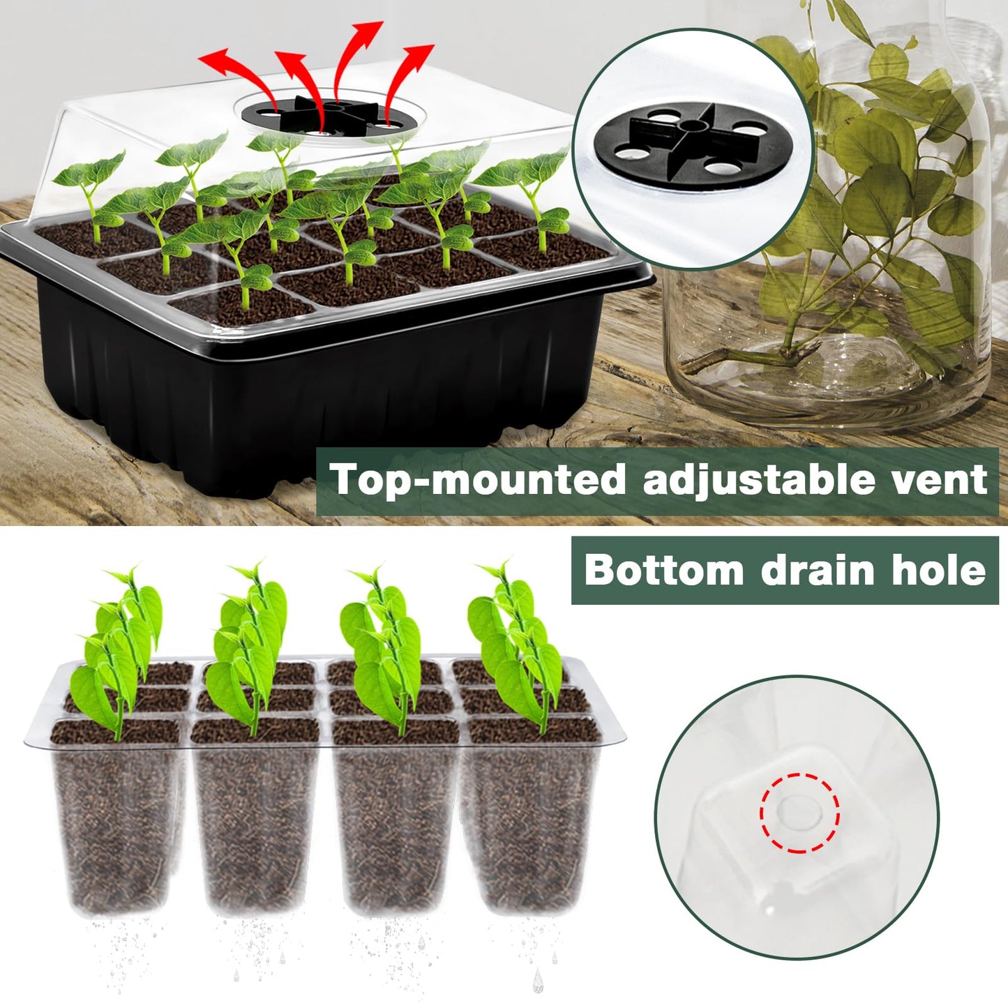 ZeeDix 6 Set Seed Starter Tray Kits, 6 Pack Seed Trays with 90 Pack Coco Coir Pellets, Adjustable Humidity Germination Tray with Dome Lids for Indoor Plants, Mini Greenhouse for Vegetables Garden