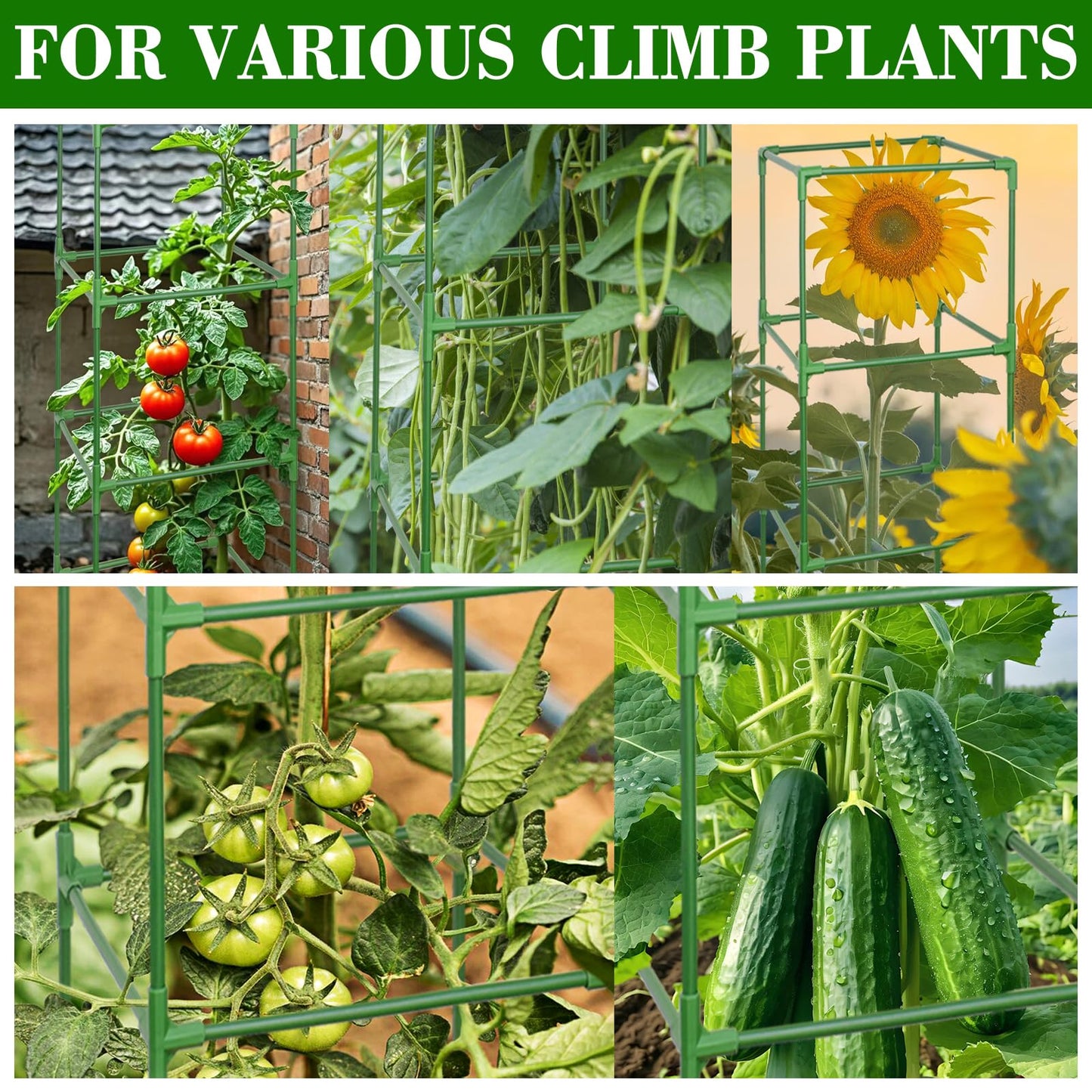 ZeeDix 4 Pack Tomato Cages for Garden 60 Inches, Heavy Duty Square Adjustable Tomato Trellis Cage Climbing Plant Support Trellis Plant Cages for Climbing Vegetables Flowers with 40Pcs Clips