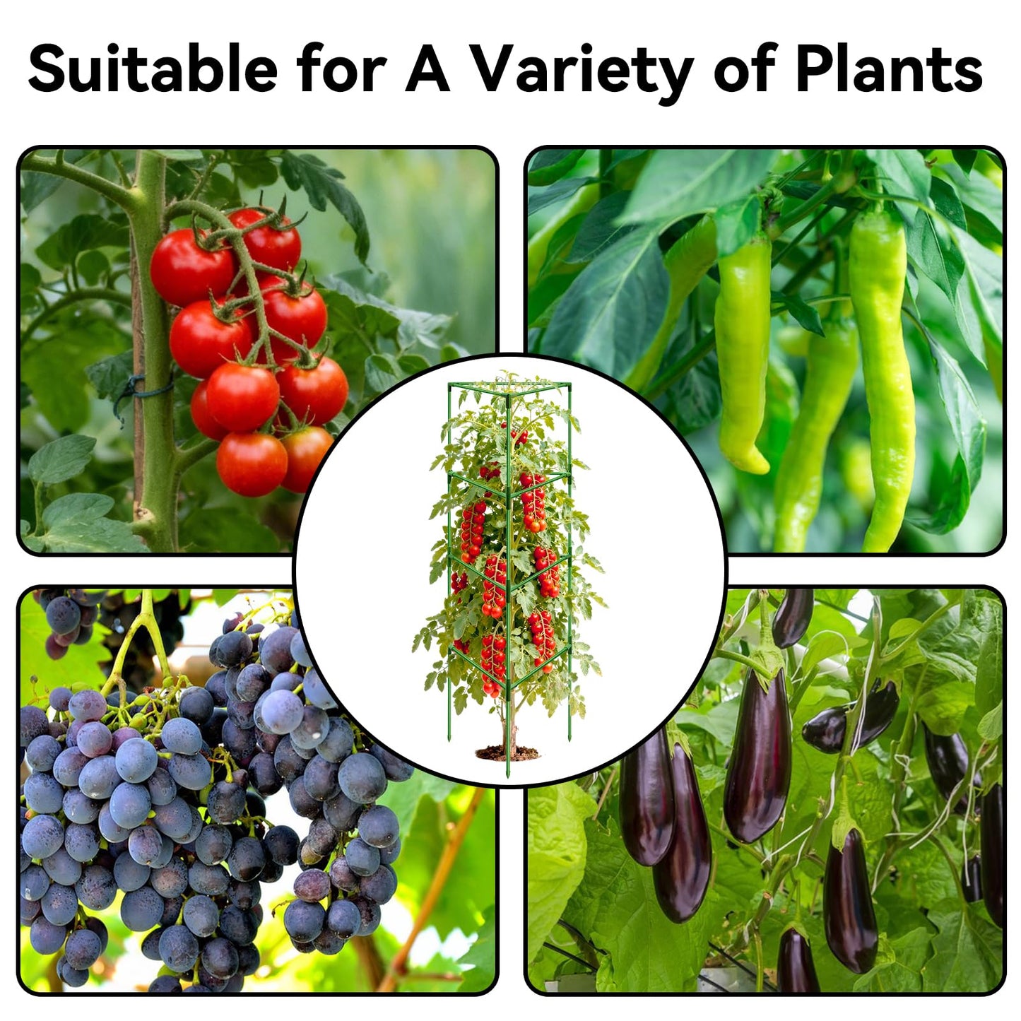 Halatool 57 Inch Tall Tomato Cages, 4 Pack Heavy Duty Metal Plant Supports Stakes for Garden, Adjustable Foldable Steel Trellis for Climbing Plants Cucumbers Peppers Cherry Flowers Vegetables Fruits