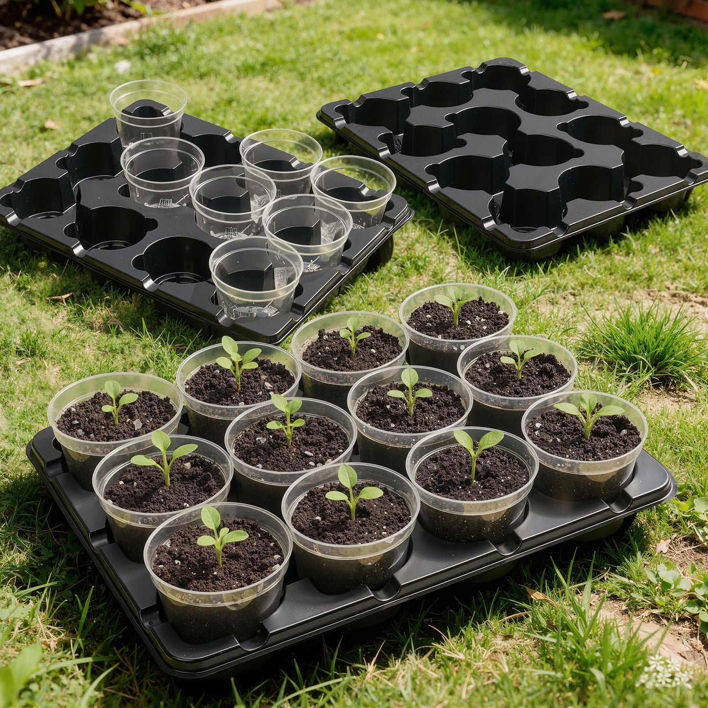 homenote 4 Inch Seed Starting Trays with Clear Nursery Pots, 2-Pack 12-Cell Seedling Starter Trays & 4" Nursery Pots 24 Pcs with Drainage, Plant Starter Germination Trays for Indoor Outdoor Growing