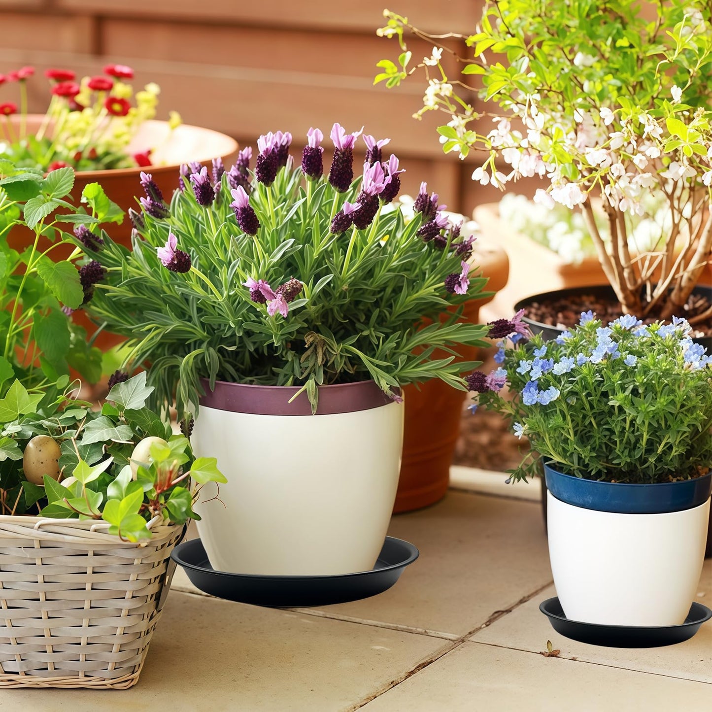 Garrdeen 9 Pack Plant Saucer Set, 3pcs 8 inch 3pcs 10 inch 3pcs 12 inch Heavy Duty PP Plastic Pot Trays, Durable Water Catcher Plates & Drip Trays for Indoor Outdoor Gardening