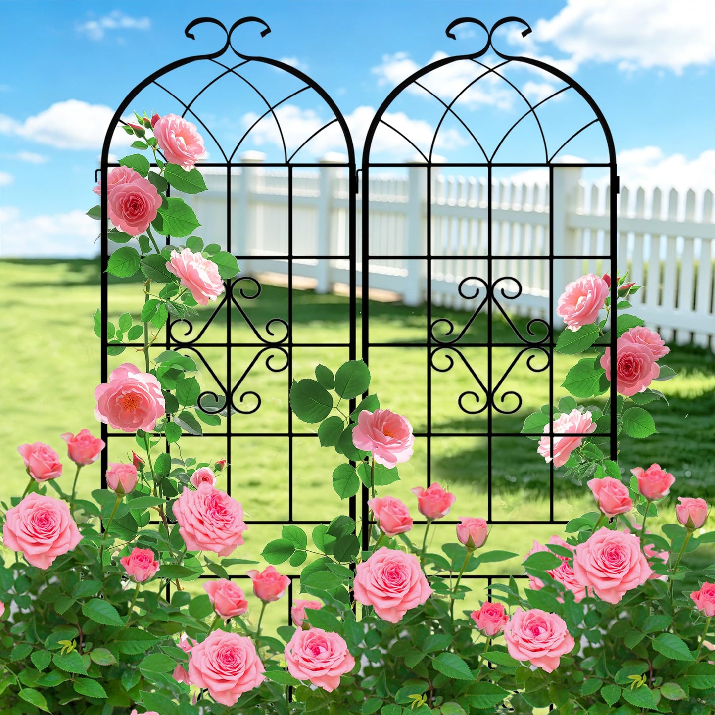 LZRS 2 Pack 78.7x20in Rustic Iron Arch Decoration Garden Trellis with Black Metal Coating – Perfect for Supporting Climbing Plants Outdoor, Roses, Vines, Flowers, and Vegetables.
