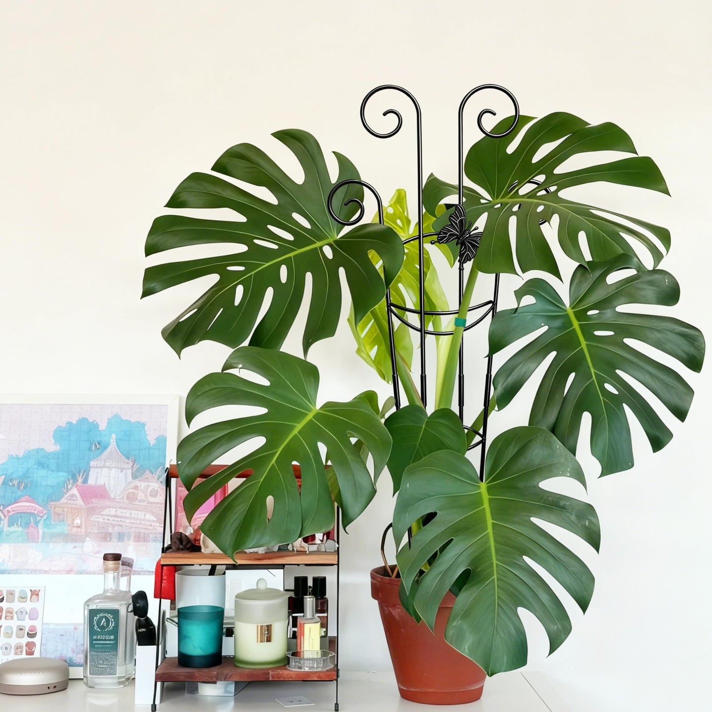 Coomin 32.6in Monstera Plant Support for Indoor Plants, 4P Trellis for Climbing Plants Indoor, Plant Climber Stakes for Potted Plants