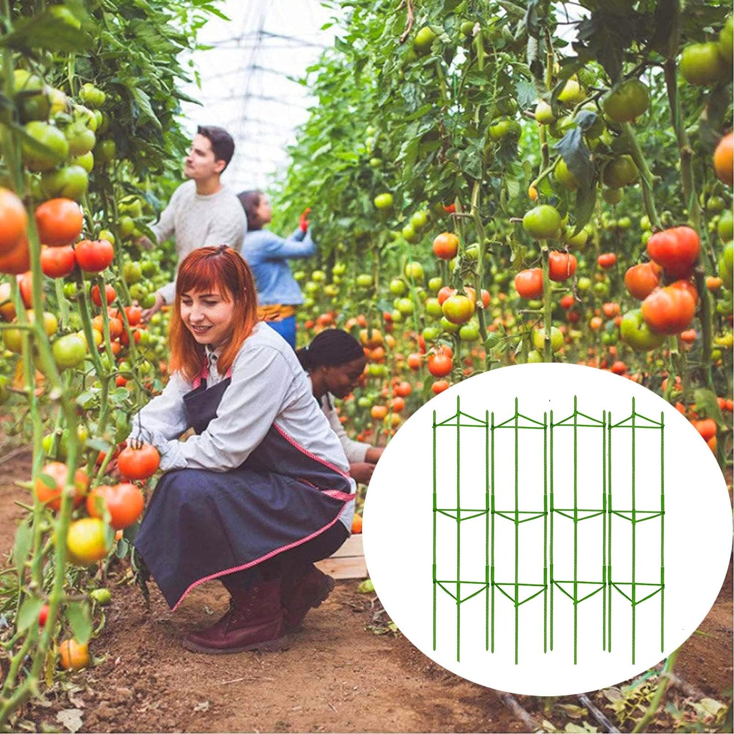 Moirsunt 6 Packs Tomato Cage for Garden Plant Support, Up to 48inch Garden Plant Stakes Tomato Trellis for Potted Plants, Deformable Tomato Cage Trellis for Climbing Plants Vegetables Flowers
