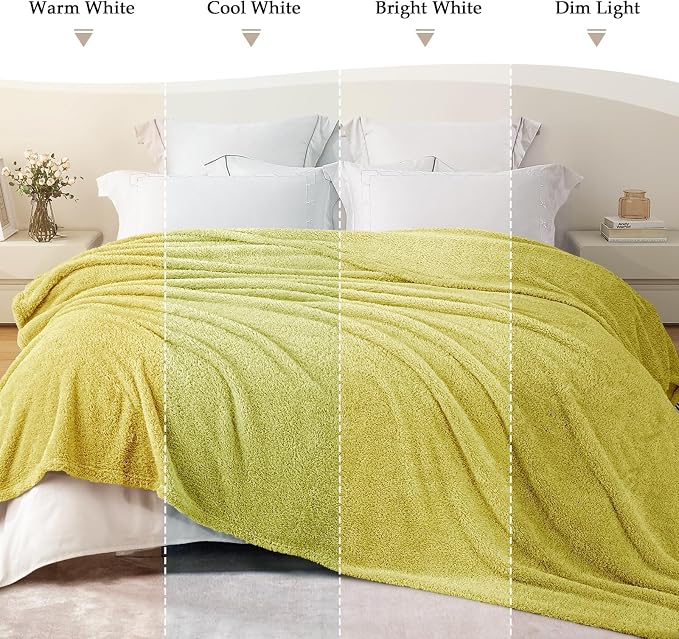Exclusivo Mezcla Fleece Light Green Throw Blanket for Couch Sofa, Ultra Soft, Lightweight and Fluffy Blankets for Women, All Season, 50x60 Inches