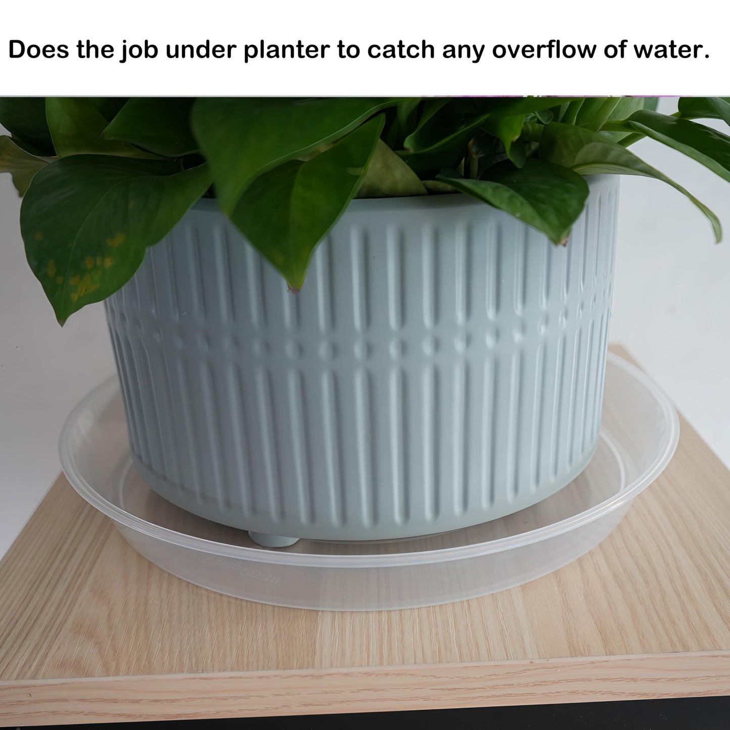 LWALRS 20 Pack Plant Saucer Tray (6 8 10 12 inch), Plant Saucers for Indoors Outdoor, Plastic Heavy Duty Drainage Drip Water Trays for Planter Pots Flower, Clear Pot Saucers Trays for Plants