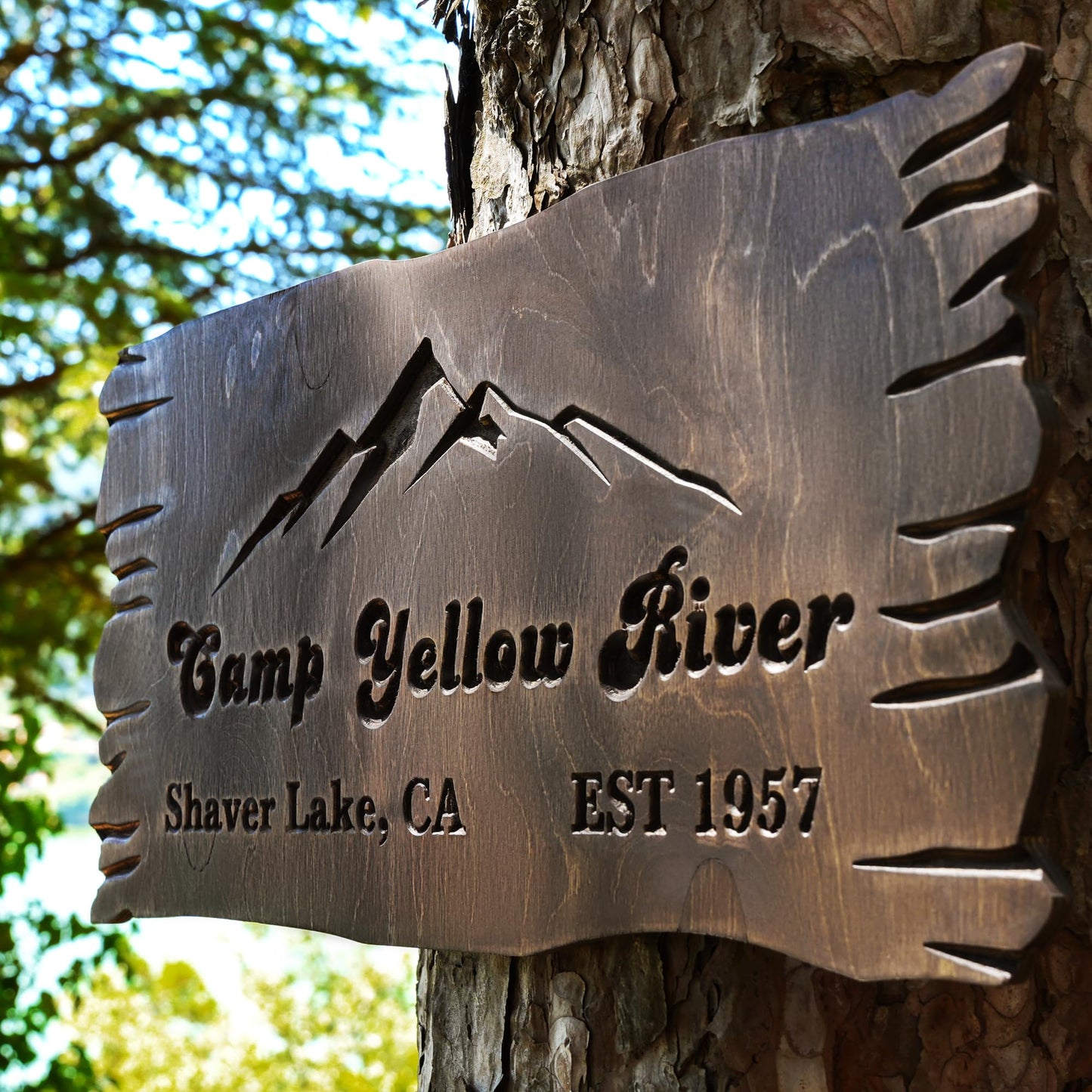 Custom Wooden Name Sign for Outdoors – Personalized Beech Wood Plaque with Live Edge – Engraved Weatherproof Sign for Yard, Cabin, RV, Trailer, Campsite or Tree – Handcrafted Rustic Camping Decor