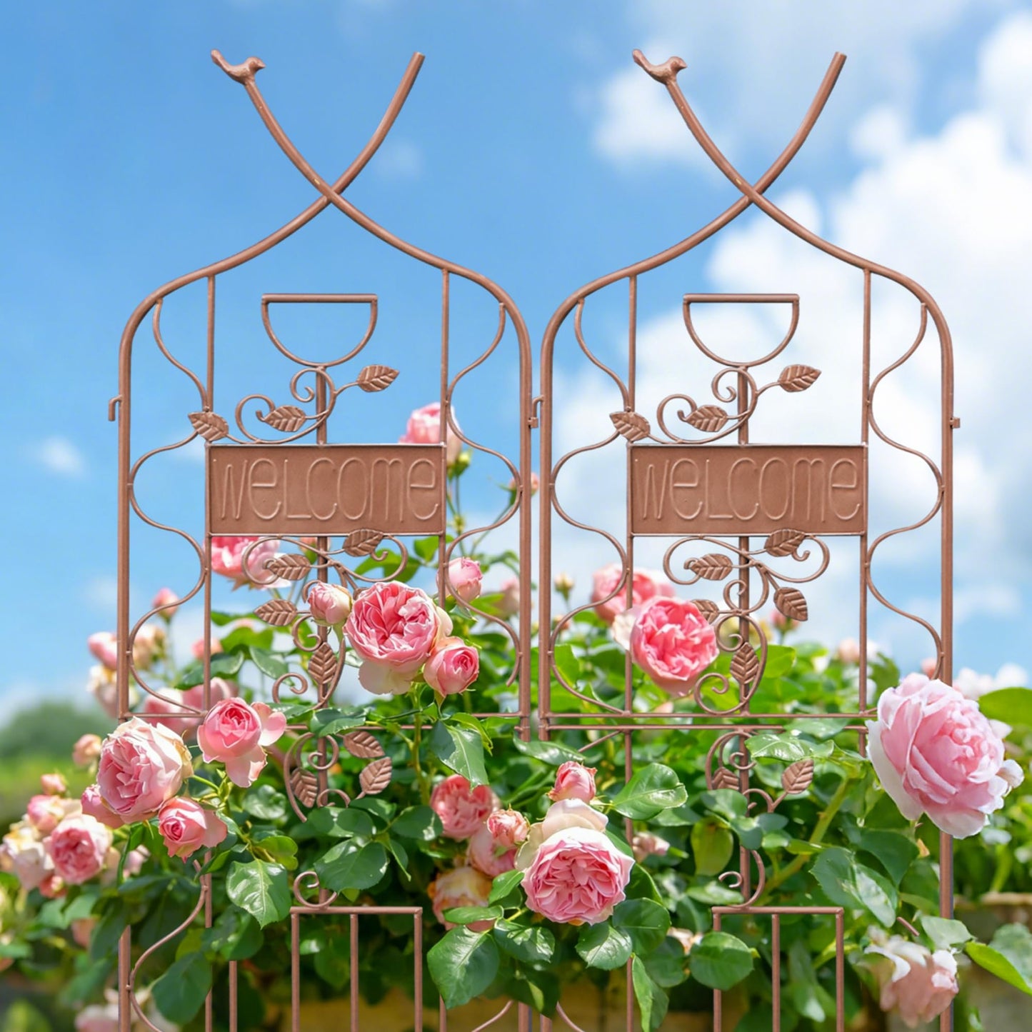 LZRS 2 Pack 59.5 * 18in Rustic Iron Arch Decoration Garden Trellis with Metal Coating – Perfect for Supporting Climbing Plants Outdoor, Roses, Vines, Flowers, and Vegetables, Brown