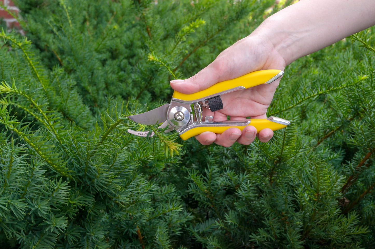 Dramm ColorPoint Stainless Steel Compact Garden Pruning Shears, Hand Pruner, Garden Clippers, with Heavy Duty Blade and Easy grip Handle, Orange
