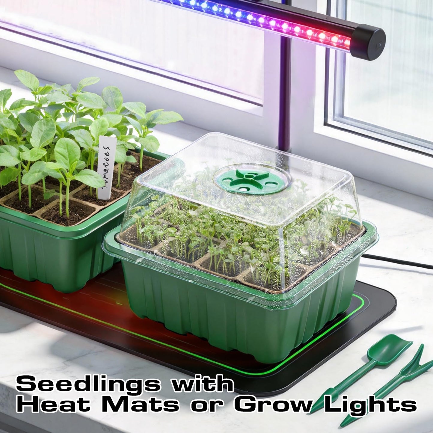 Bhyhok Seed Starter Tray Kit 10 Pack, Seed Starting Trays with Humidity Dome (120 Cells Total), Plant Germination Trays Complete Mini Greenhouse for Seed Growing & Seedlings