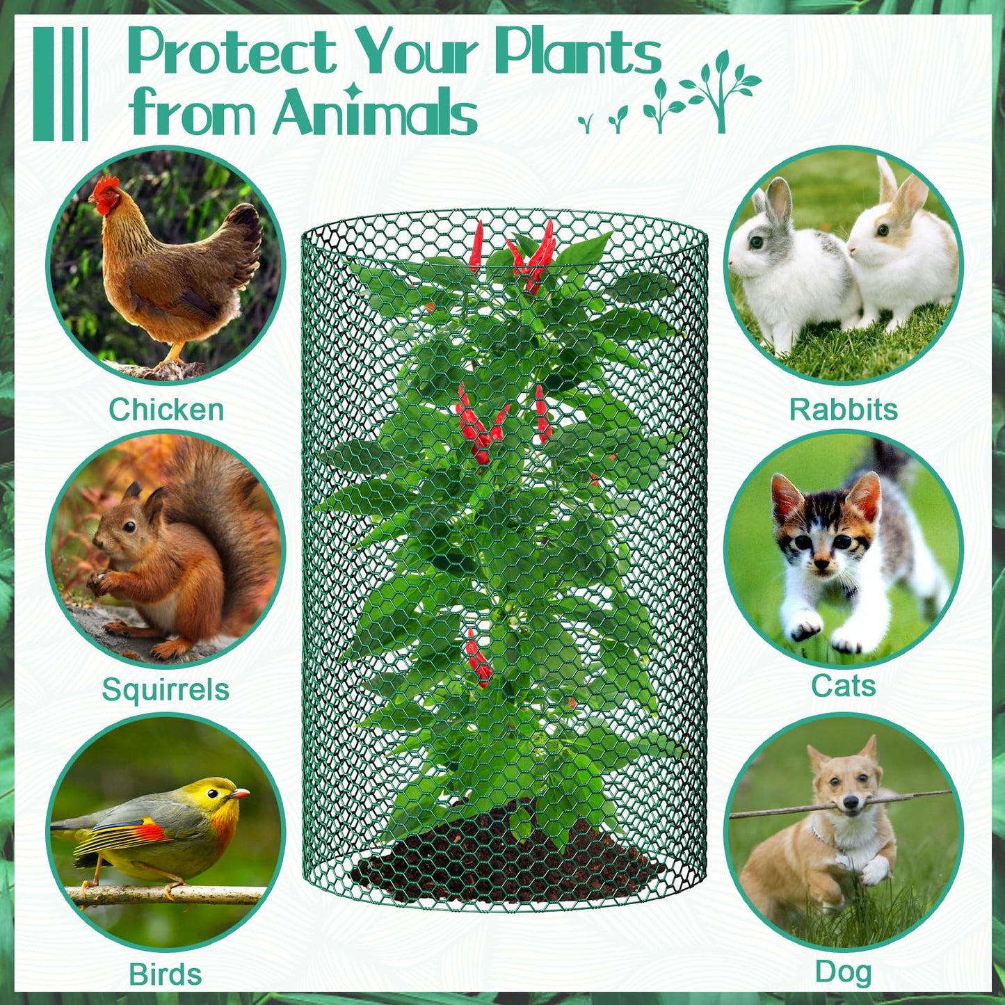 32.8ftx20In Plant Protectors from Animals,Plant Cages for Outdoor Plants,Wire Plant Protector Cage,Wire Plant Protector,Chicken Wire Cloche with Ground Stakes & Nylon Ties Protect Plants from Animals