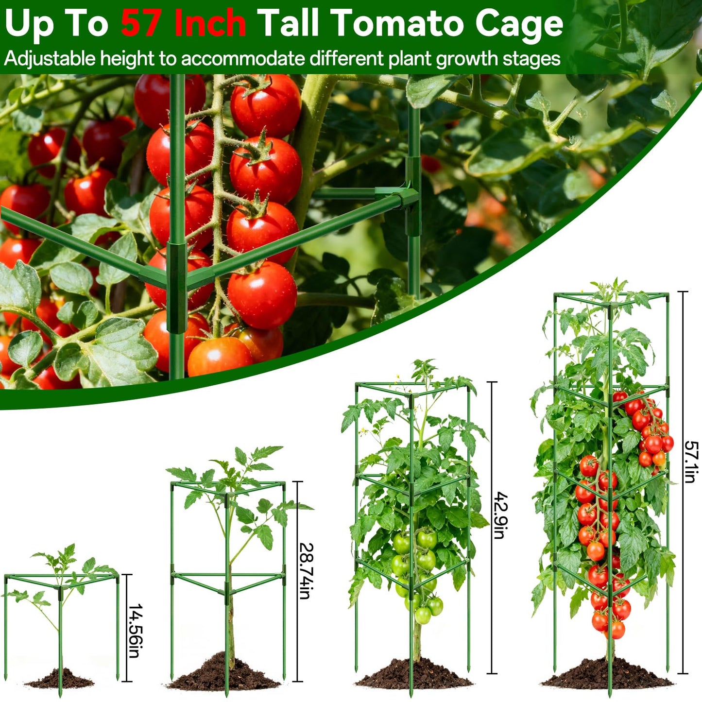 Halatool 57 Inch Tall Tomato Cages, 4 Pack Heavy Duty Metal Plant Supports Stakes for Garden, Adjustable Foldable Steel Trellis for Climbing Plants Cucumbers Peppers Cherry Flowers Vegetables Fruits