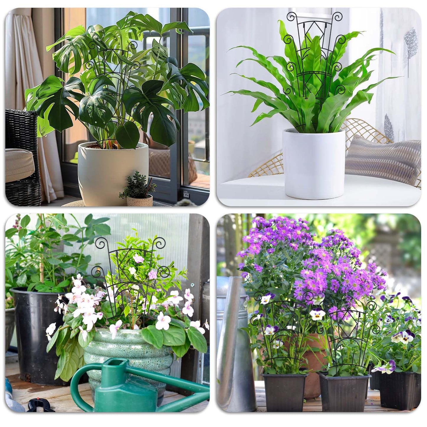 Yhtpouqe Stackable Plant Support Stakes, 2 Pack Metal Twig Plants Trellis for Indoor and Outdoor Use, Garden Accessories for House Potted Flower Monstera Trumpets 15.35 inch