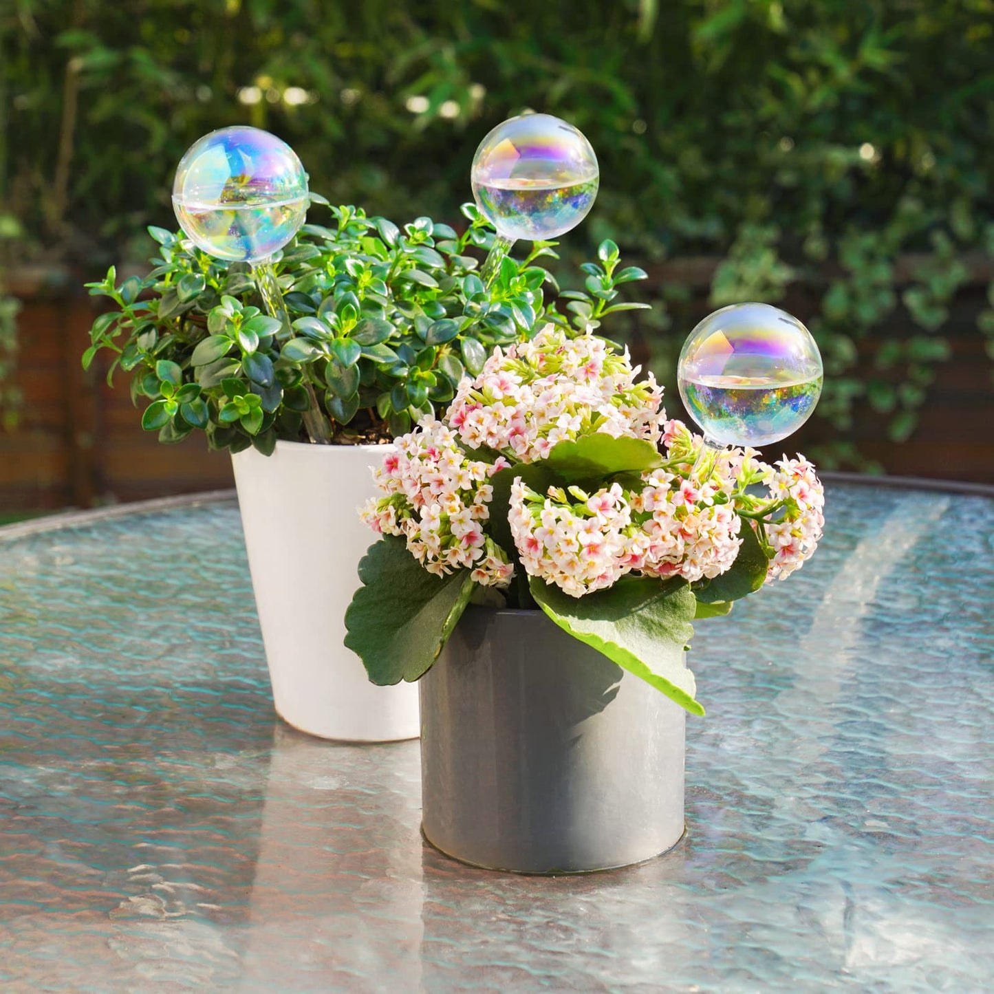 Tomorotec [3PCS] Light Iridescent Rainbow Gradient Color Clear Glass Self-Watering System Spikes, Automatic Plant Waterer Bulbs