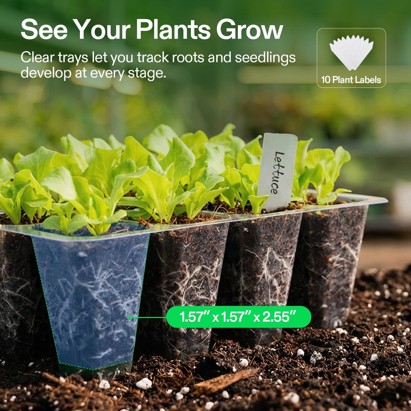 VIVOSUN 6-Pack Seed Starter Trays, 72-Cell Seed Starter Kit with Humidity Dome, Flat Reusable Plant Germination Trays with Drain Hole, Green Propagation Tray for Planting Seeds