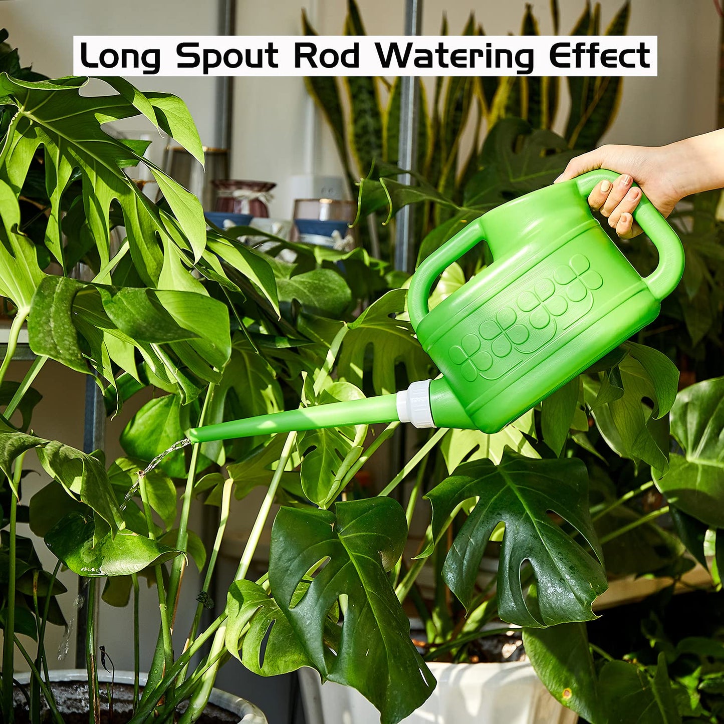 Plastic Watering Can for Indoor & Outdoor Plants 1 Gallon/4-Liter, Ebristar Watering Pot for Garden Flower with Long Spout and Removable 360 Degree Rotation Sprinkler Head, Green