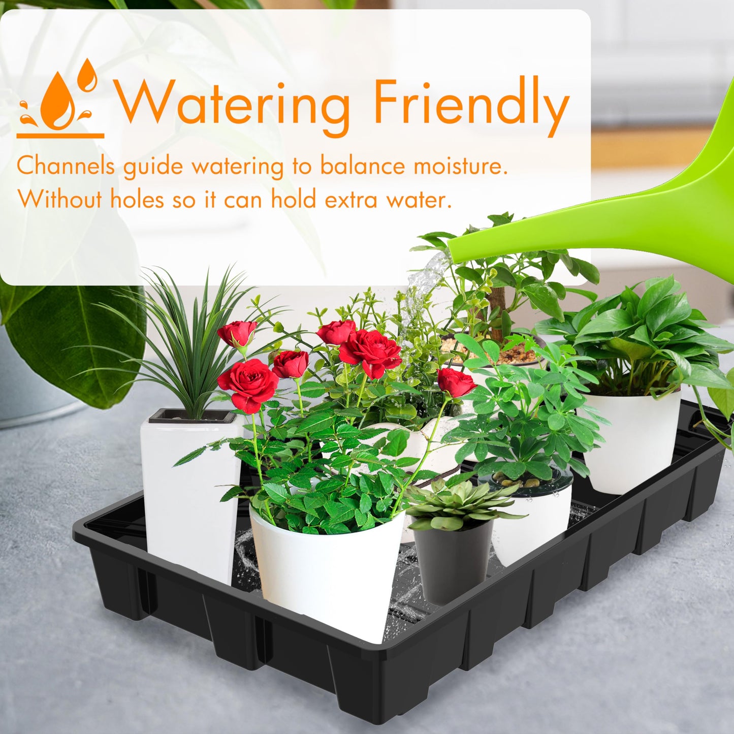 Gardzen 10 Pack Seed Trays, Reusable Plant Grow Trays, Ideal for Seed Starting, Microgreens, Indoor Gardening, and Greenhouse Nurseries - No Drain Holes, 14.5"x9"