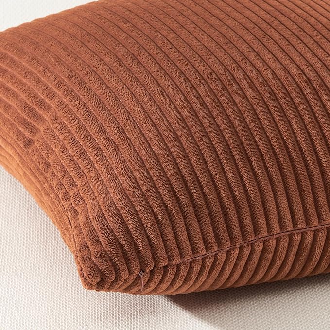 Topfinel Decorative Terracotta Throw Pillow Covers Cushion Cases, Set of 4 Soft Velvet Modern Double-Sided Designs, Rustic Fall Home Decor, Pillow Inserts Not Included 22x22 inch
