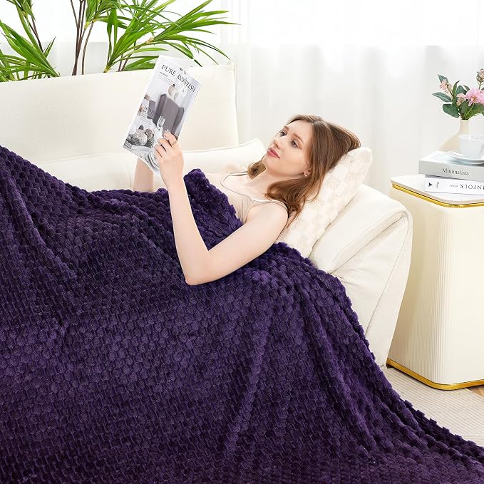 Zyrah Fleece Throws for Couch Super Soft Throw Blanket Lightweight Decorative Fuzzy Cozy Blankets for Sofa Chair Bed (A-Purple, Twin(60"x80"))