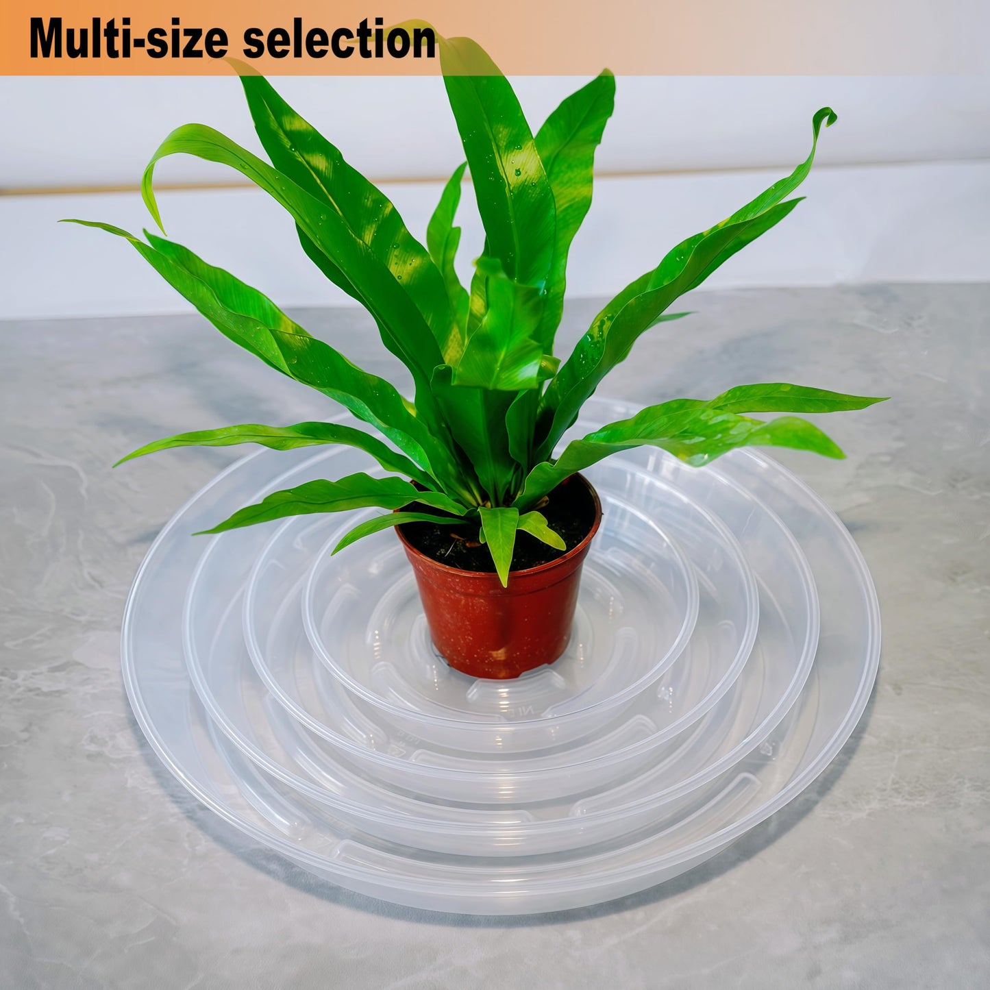 MSKIAUO 20 Packs Plant Saucer Pot Tray, 6 8 10 12 inch Clear Flower Planter Saucers and Drip Trays, Plastic Flower Planter Saucers for Indoors Outdoors, Heavy Durable Plant Plate Water Catcher