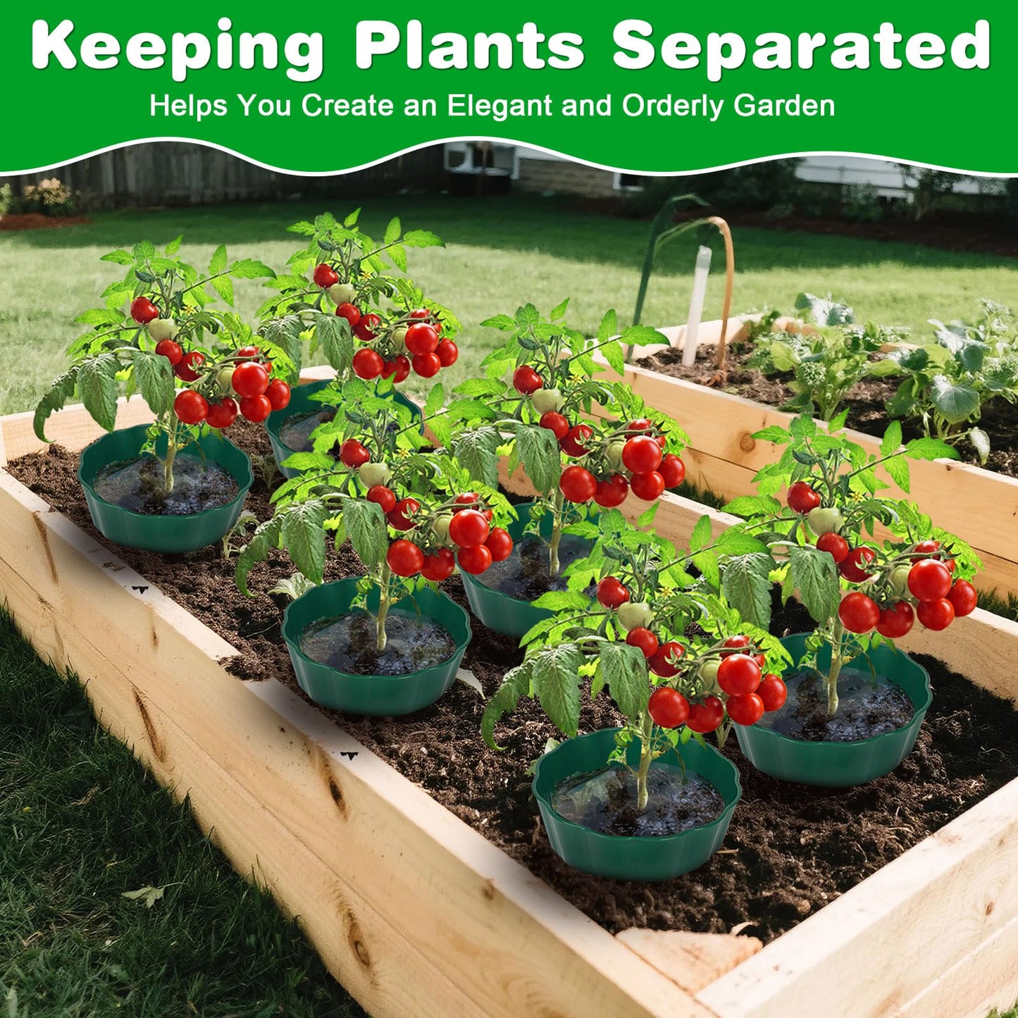 pdpdoc 6 Pack of 7 Inch Planting Grow Rings, Planting Protective Round Garden Edging, Keeping Plants Separated, Weed Control and Directing Water to the Roots (7 Inch - 6 Pack - Green)