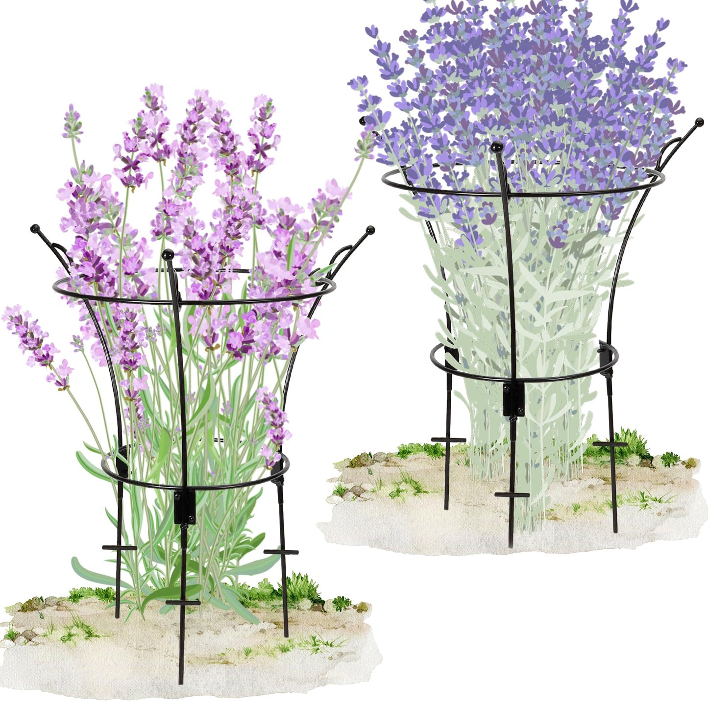 VICAMB 2 Pack Large Peony Cages and Supports,23.2" H X 13.4" D Metal Peony Support Rings,Tall Plant Support Garden Stakes for Outdoor Plants and Other Flopping Flowers