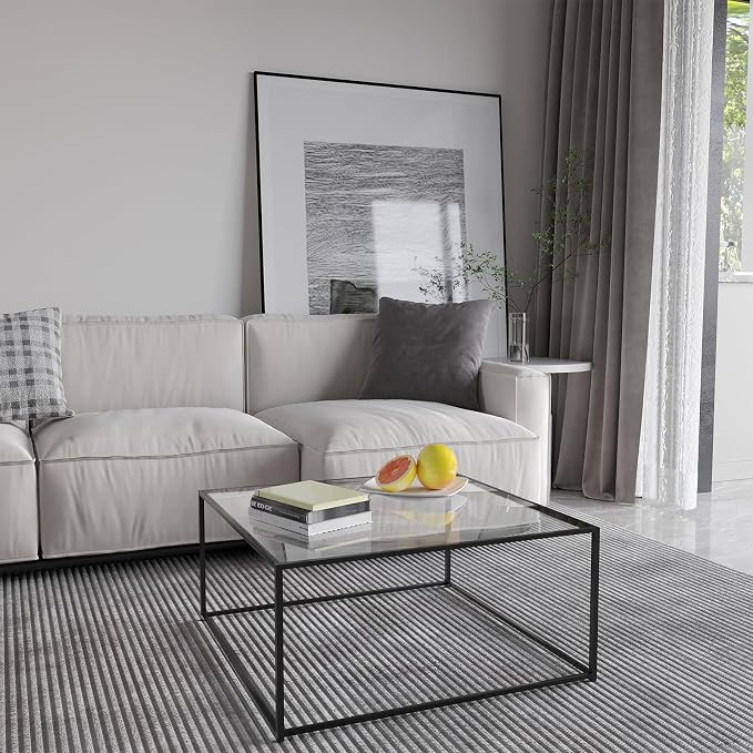 Glass Coffee Table Modern Center Table,Minimalist Coffee Table Sofa Side Tea Table for Living Room,Tempered Glass-top with Sturdy Metal Frame, Easy Assembly,26.4 x 26.4 x 15.7 Inches, Black