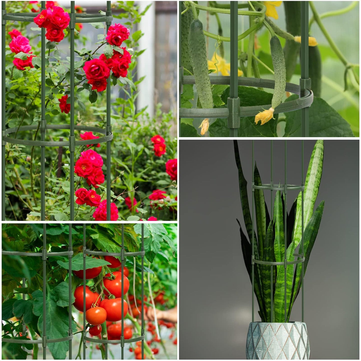Round Heavy Duty Tomato Cage - 55 Inch Steel Core Plastic Coated Garden Trellis, 4-Post Rustproof Plant Support for Tomato/Cucumber/Beans, No Tools Snap Assembly, Spare Parts Available 4PS