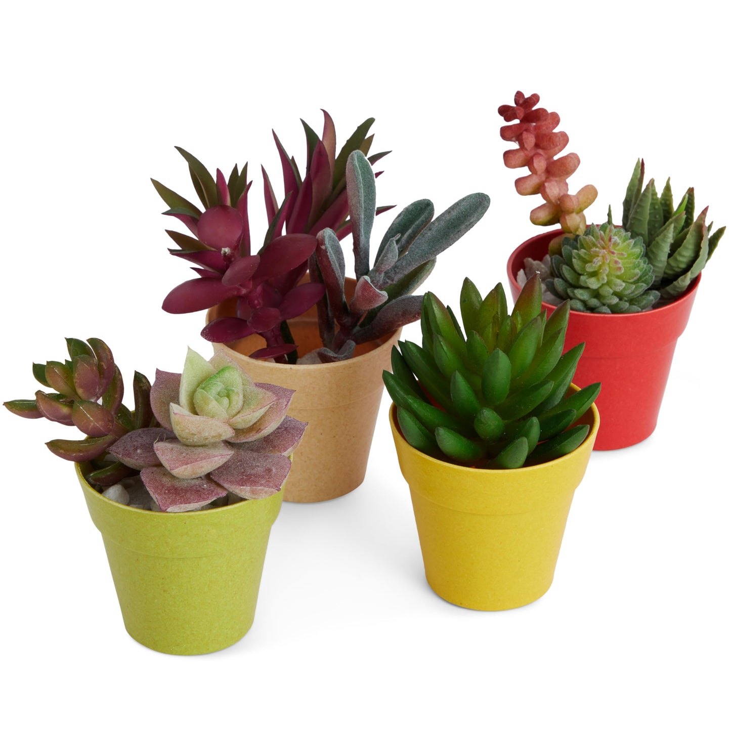 Juvale Mini Plastic Plant Pots - Drainage Hole for Flower Pots - Sturdy Planter for Indoor Plants - Pack of 24, 2.5 x 2.3 in, Multicolor