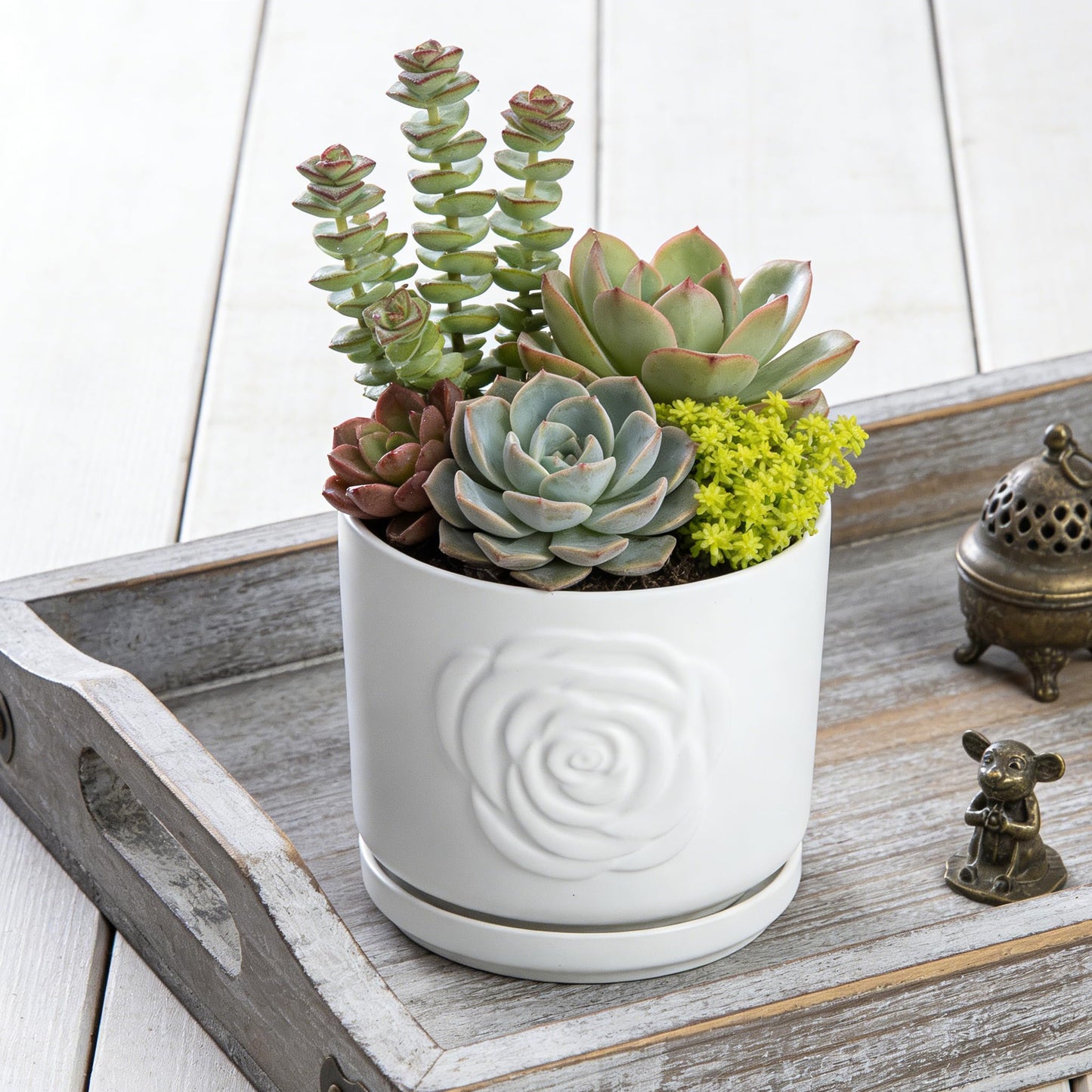 Ekirlin 7 Inch Indoor Plant Pots, White Ceramic Flower Planters, Modern Style Succulents Containers with Drain Hole & Saucer Tray, Weatherproof Pot for Decorate Home,Office & Outdoor (Rose Design)