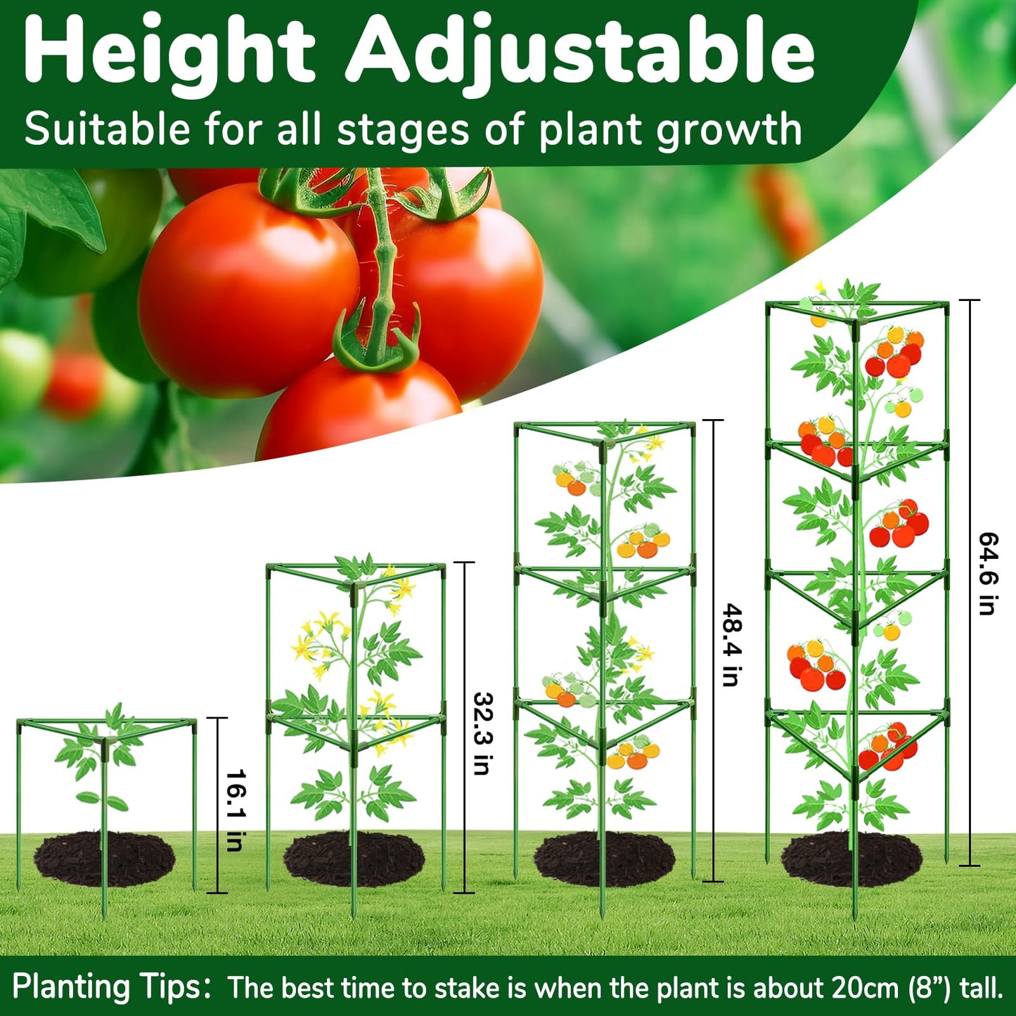 ZeeDix 65 Inch Tall Tomato Cages for Garden, 2 Pack Heavy Duty Large Plant Support Stakes for Heavy Climbing Vegetables, Adjustable Tomato Trellis for Pots & Outdoor Raised Garden Beds