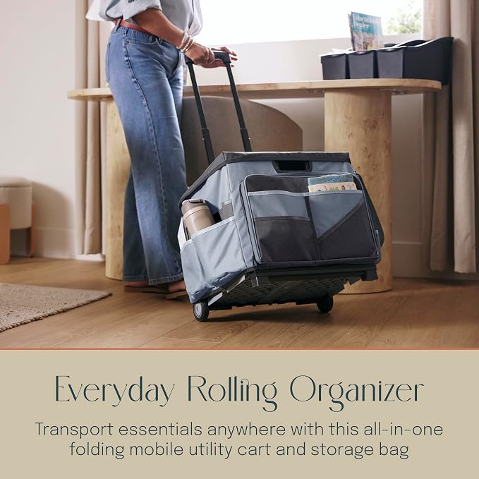 Mobile Folding Utility Cart with Canvas Storage Organizer Bag, Rolling Cart, Black/Grey