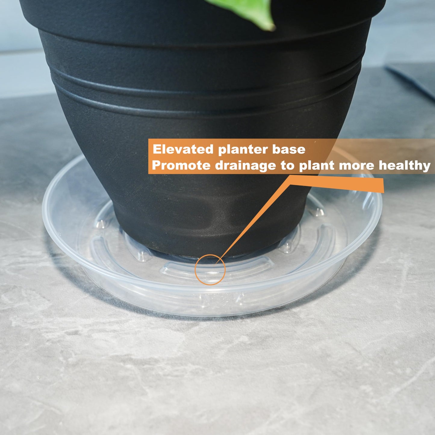 MSKIAUO 20 Packs Plant Saucer Pot Tray, 6 8 10 12 inch Clear Flower Planter Saucers and Drip Trays, Plastic Flower Planter Saucers for Indoors Outdoors, Heavy Durable Plant Plate Water Catcher