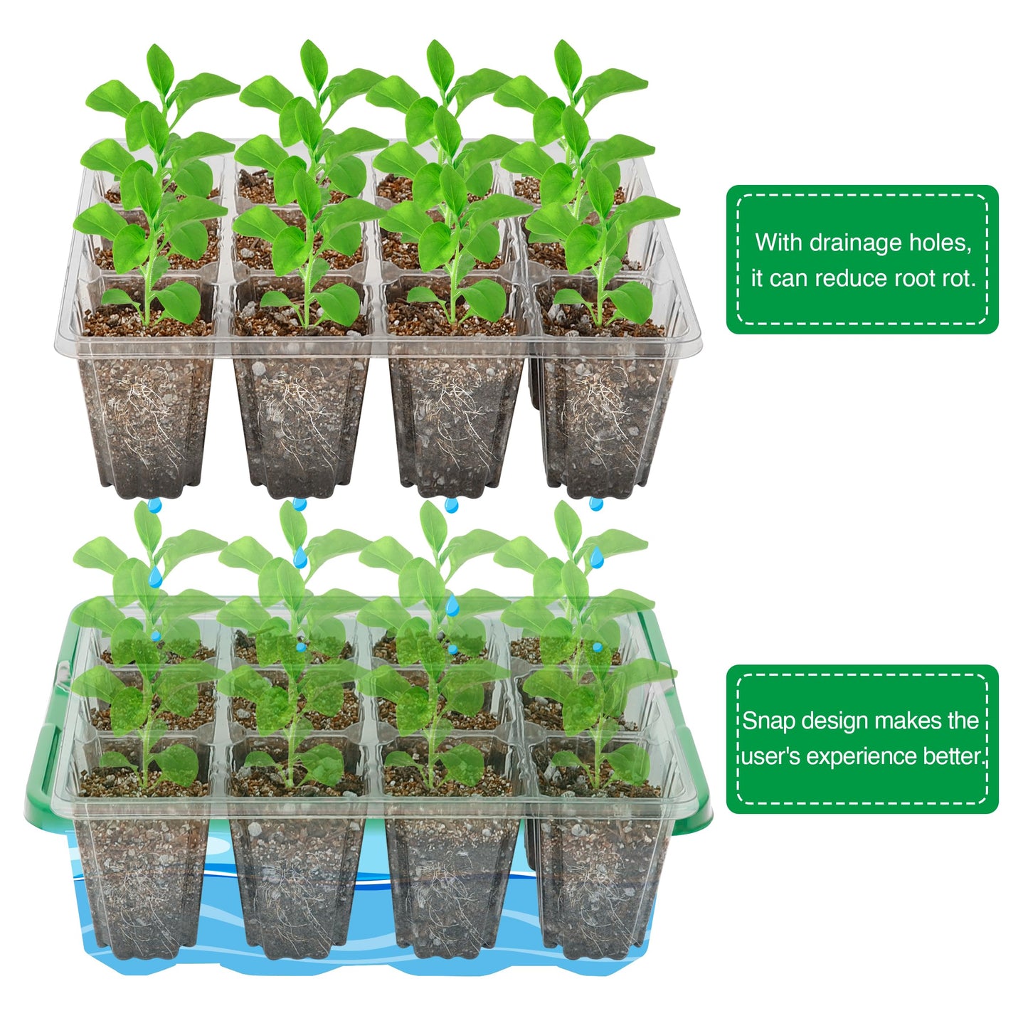 Bonviee 10 Packs Seed Starter Tray with Elevated Lid, 120 Cells Thicken Seed Starting Trays Kit with Adjustable Humidity Vent, Clear Cell Tray and Heightened Lids for Greenhouse & Gardens, Green