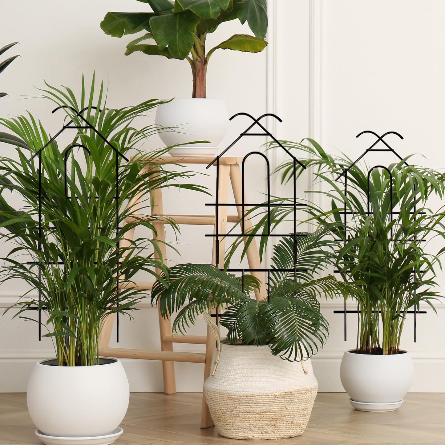 Xeeol 23in Plant Trellis for Potted Plants, Expandable Metal Garden Trellis for Climbing Plants with Ties, Plant Supports for Indoor Plants Hoya Pothos Ivy, 4P