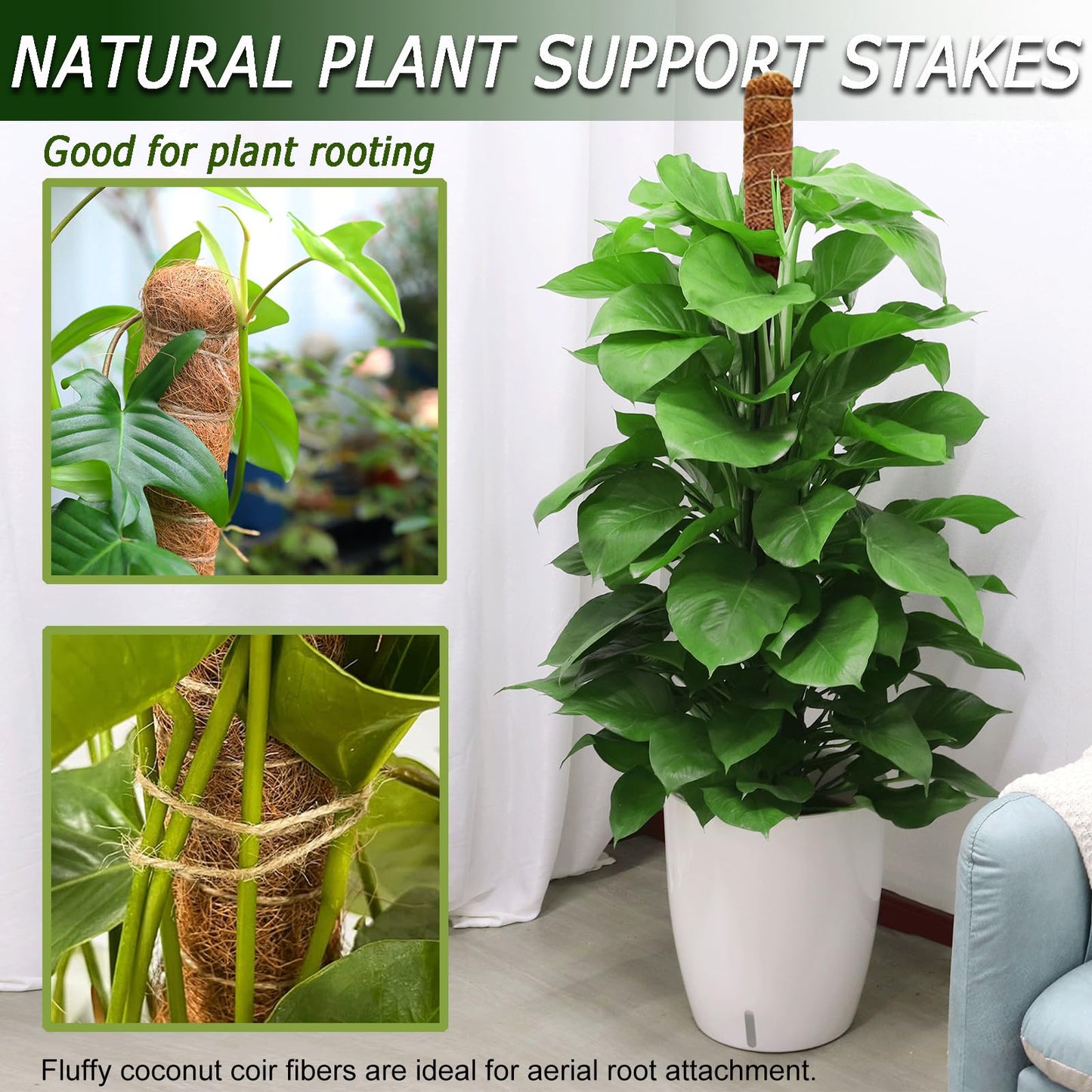 2 Pack 48'' Bendable Moss Pole for Monstera & Pothos - Tall Handmade Coco Coir Plant Support Stakes for Large Climbing Indoor Plants, Potted Houseplant Trellis Accessories