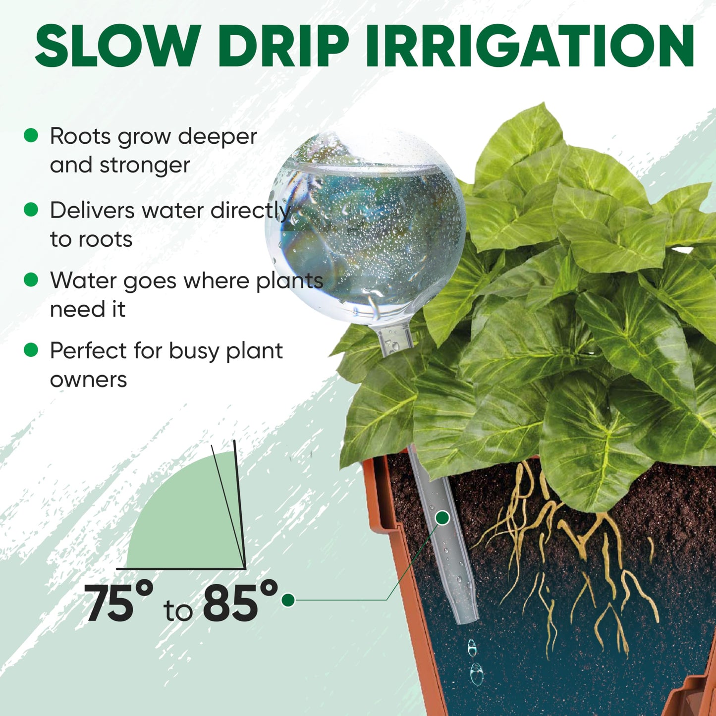 Mission Gallery Clear Plant Watering Globes Set of 2 - Large Self Watering Globes for Indoor & Outdoor Plants - Automatic, Glass Watering Bulbs for Daily Use, Plant Watering Devices