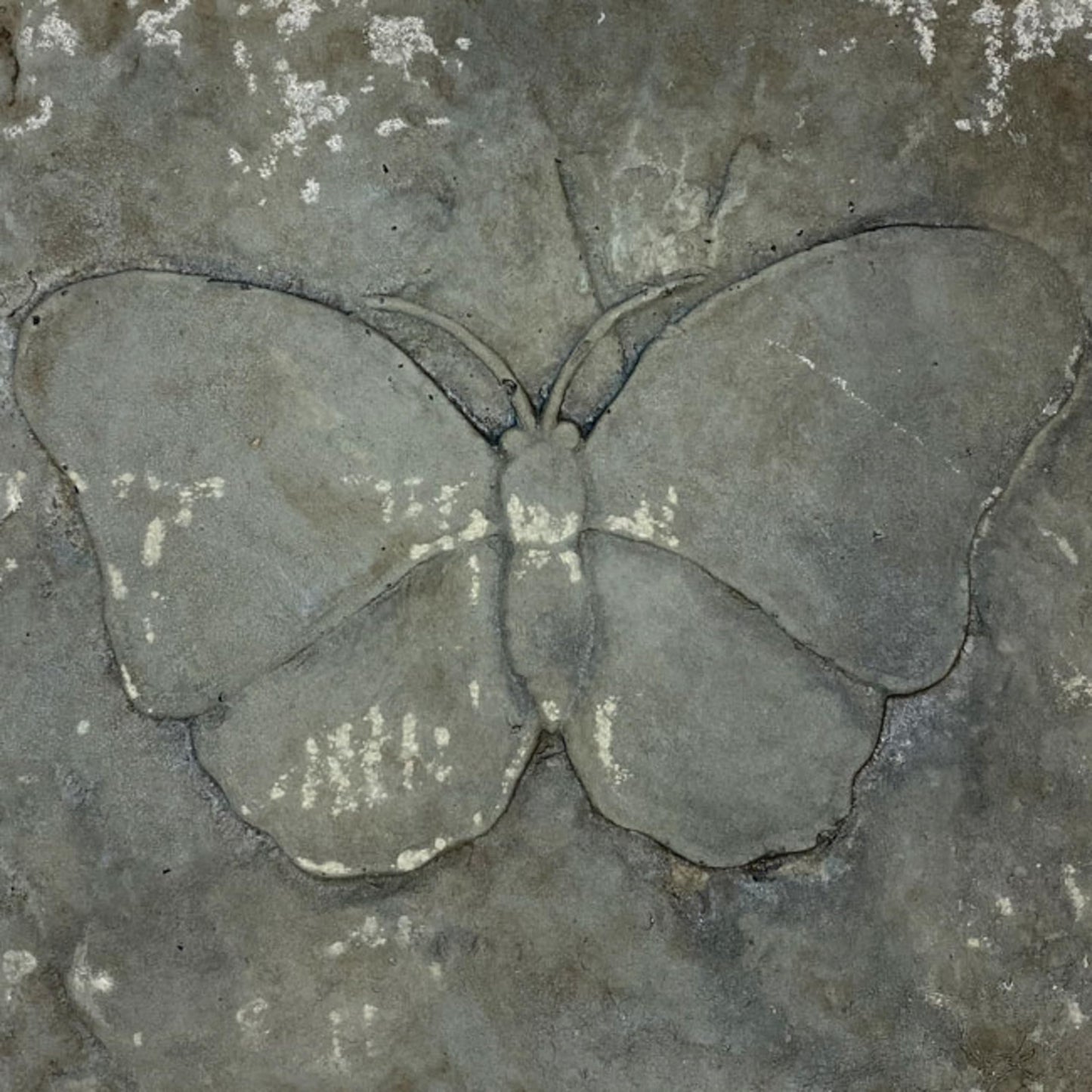 BestNest Athens Butterfly Stepping Stones, Cypress – Pack of 2 Square Concrete Garden Path Stones with Raised Butterfly Design, Gray & Green Hues, Durable Outdoor Landscaping Decor, 12" x 12"