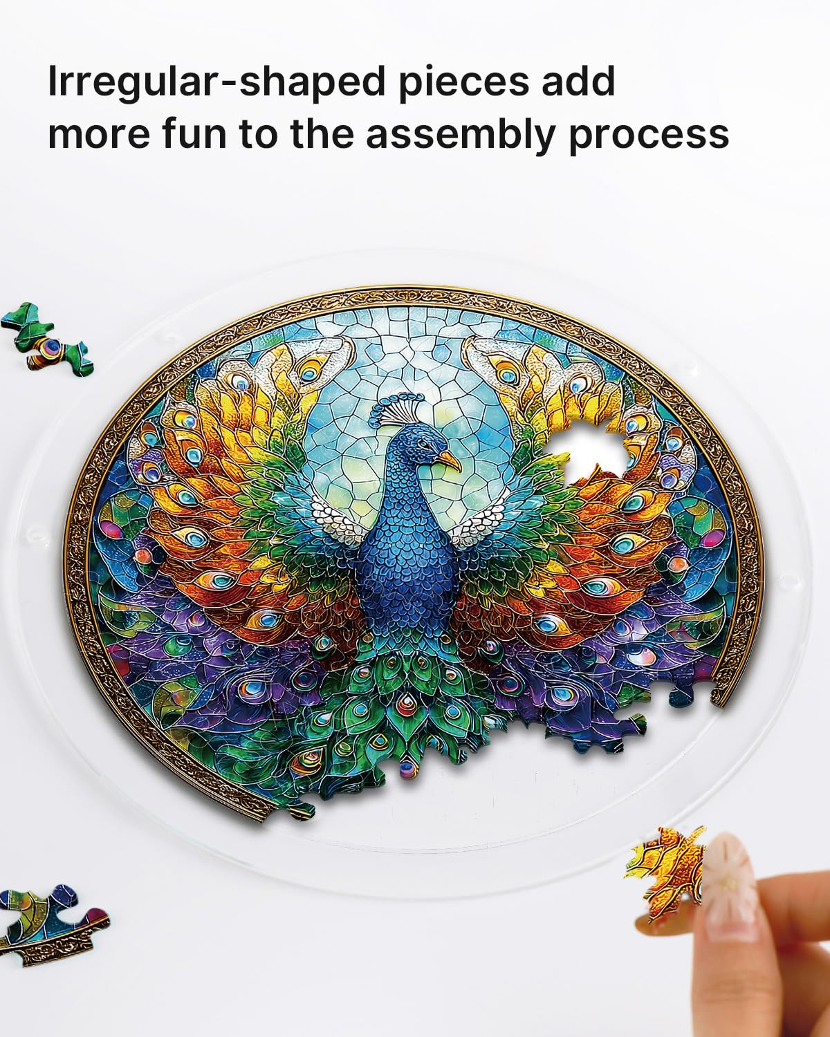 Acrylic Puzzle Suncatcher 83 Pieces, Peacock of Radiance Sun Catchers Puzzle, DIY SunCatchers Puzzles Window Hanging, Home & Garden Decor, 7.4 in