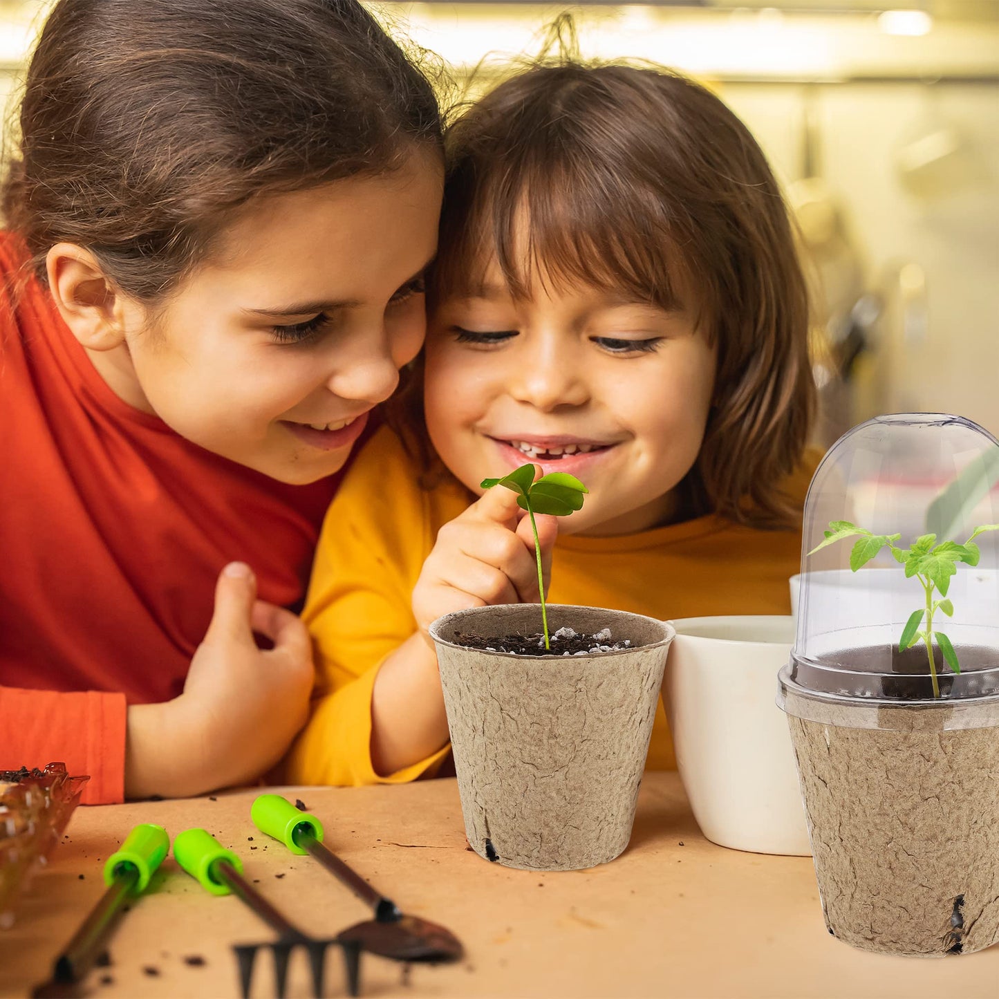 Hahood 60 Set Plant Seeding Pots with Humidity Dome, 3 Inch Brown Biodegradable Seed Starter Pots, Plant Nursery Pots with Plant Labels for Seedlings, Garden Vegetable Germination