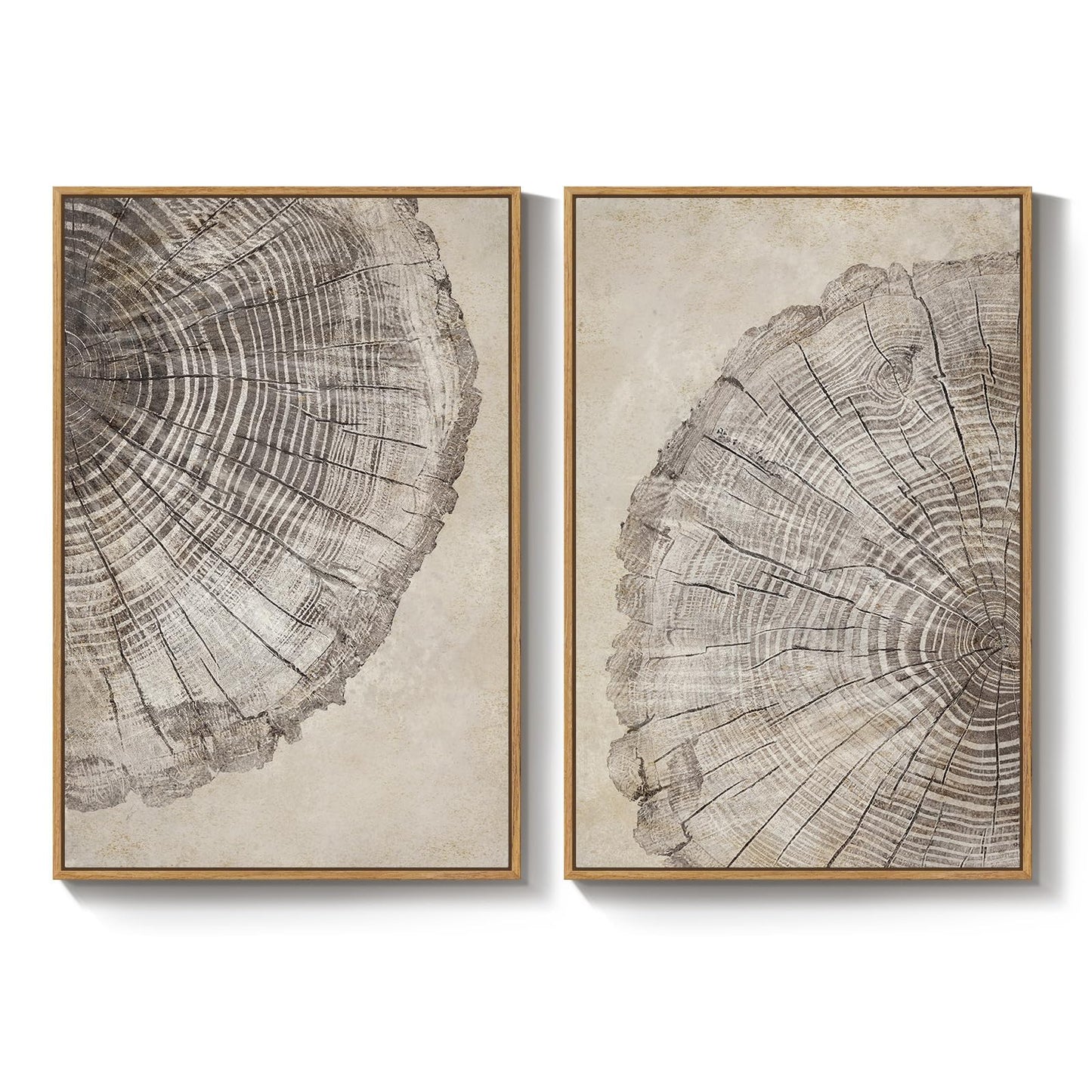 2 Piece Framed Neutral Tree Rings Wall Art for Living Room, Large Modern Wood Grain Canvas Prints Paintings, Farmhouse Nature Wabi Sabi Artwork Decor for Bedroom Hallway 24x36 Inch
