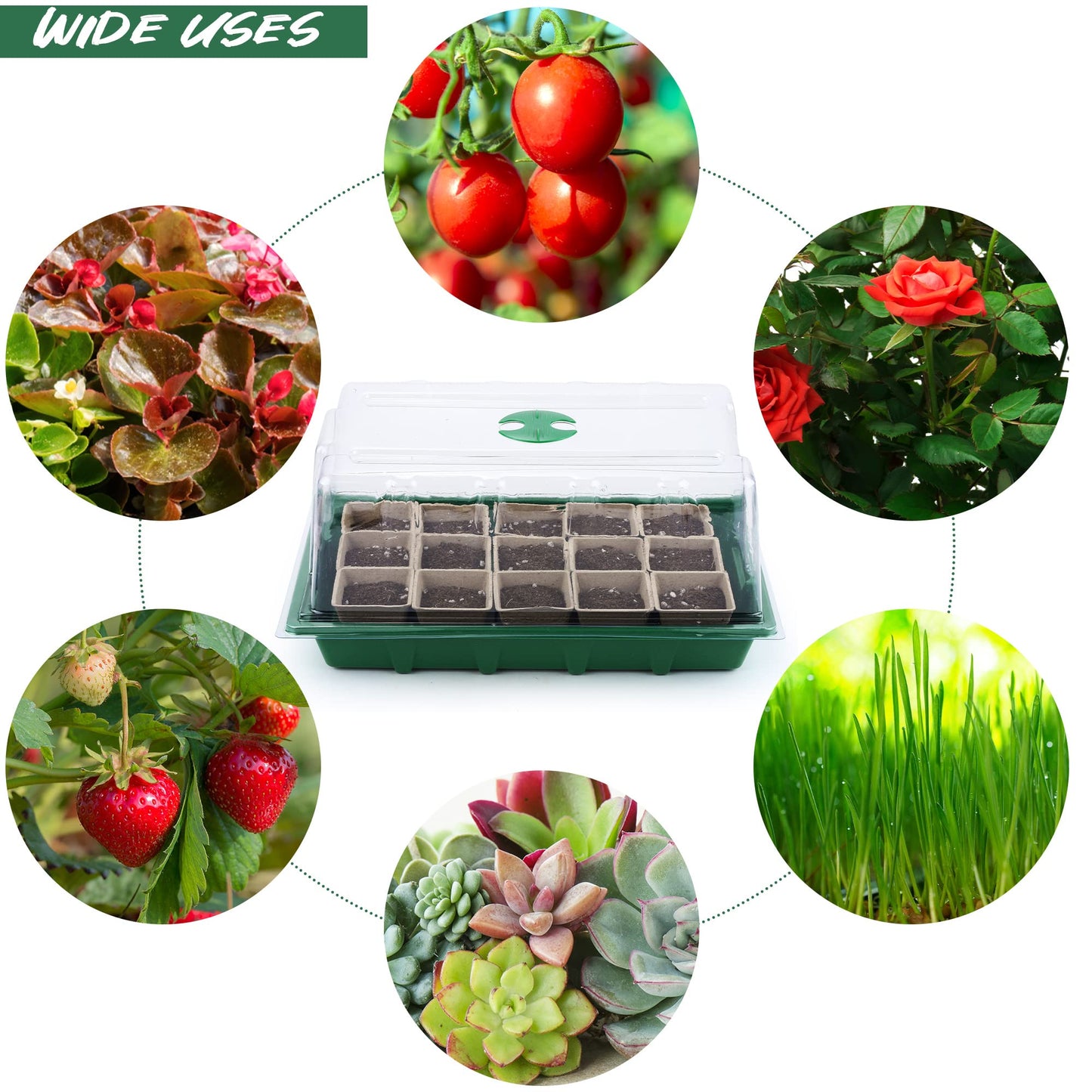 Hahood 4 Pack Seed Starter Tray Set Plants Growing Trays Peat Pots for Seedlings with Seed Starter Pots, Plastic Germination Tray, Plant Labels, Tool for Flower Vegetable Planting, Green