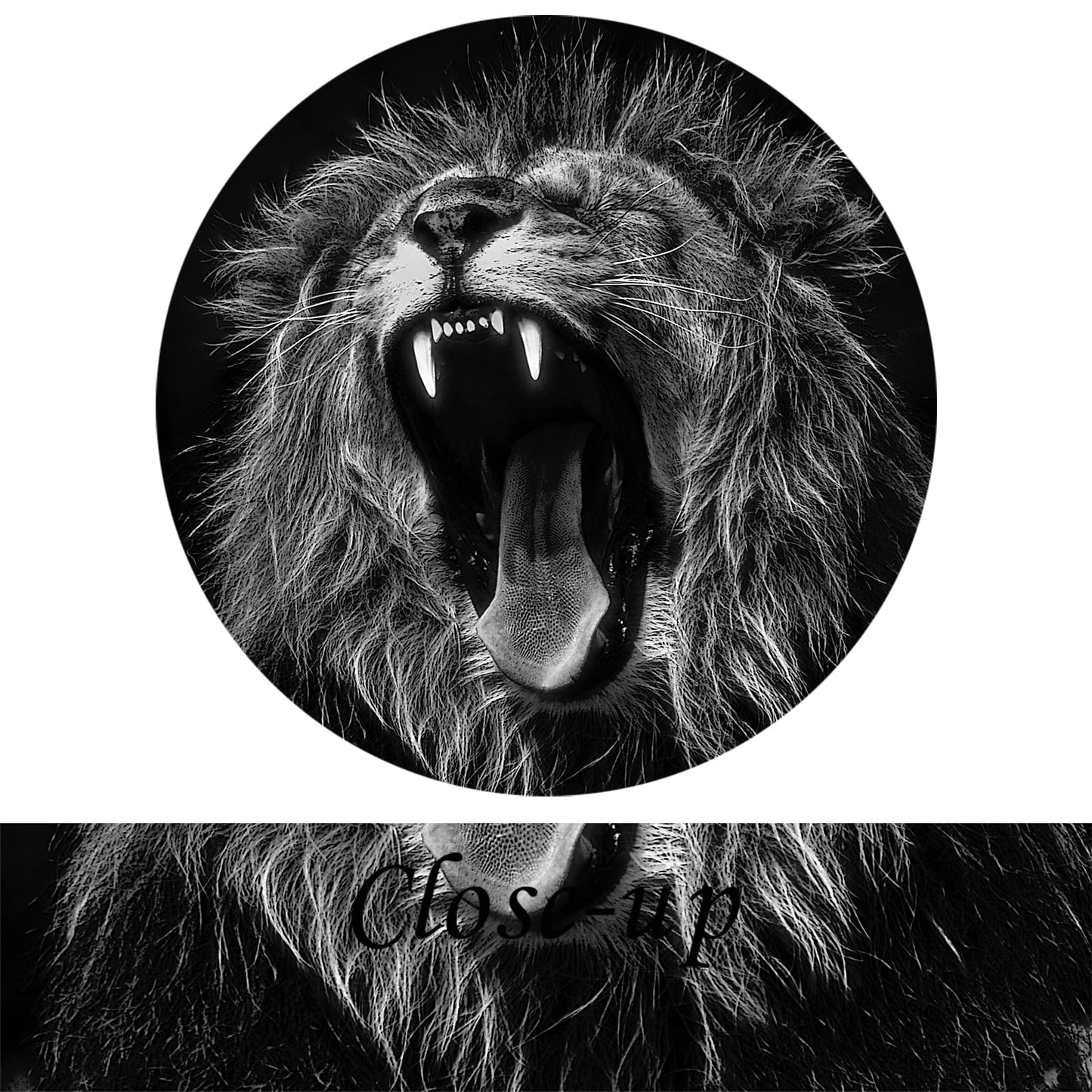 KREATIVE ARTS - 3 Panels Lion King Black and White Canvas Prints Wall Art Modern Painting Wall Pictures for Living Room Office Decoration Ready to Hang (12x12inchx3pcs/set)